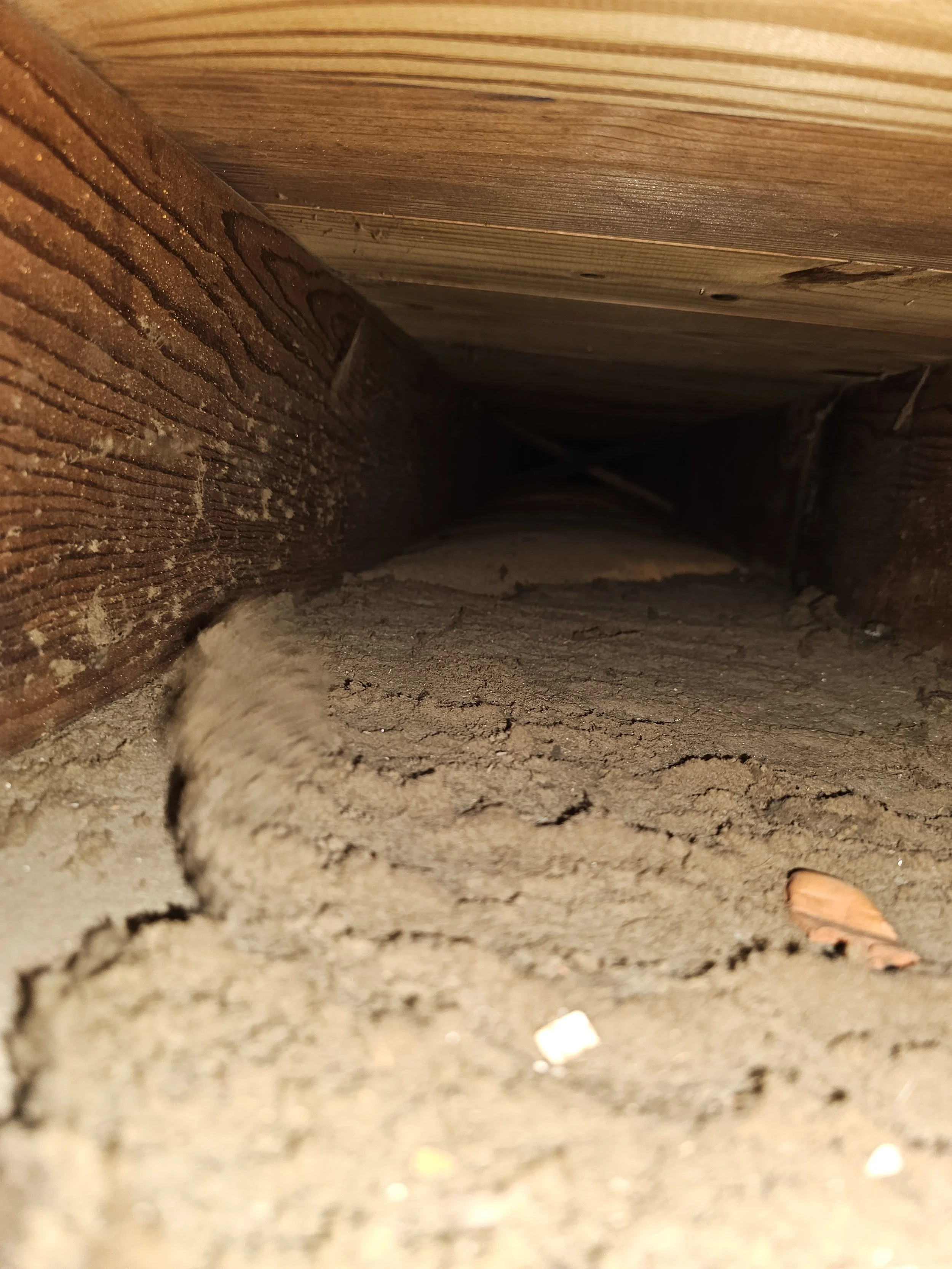 Dust, dander, hair. Air duct cleaning.