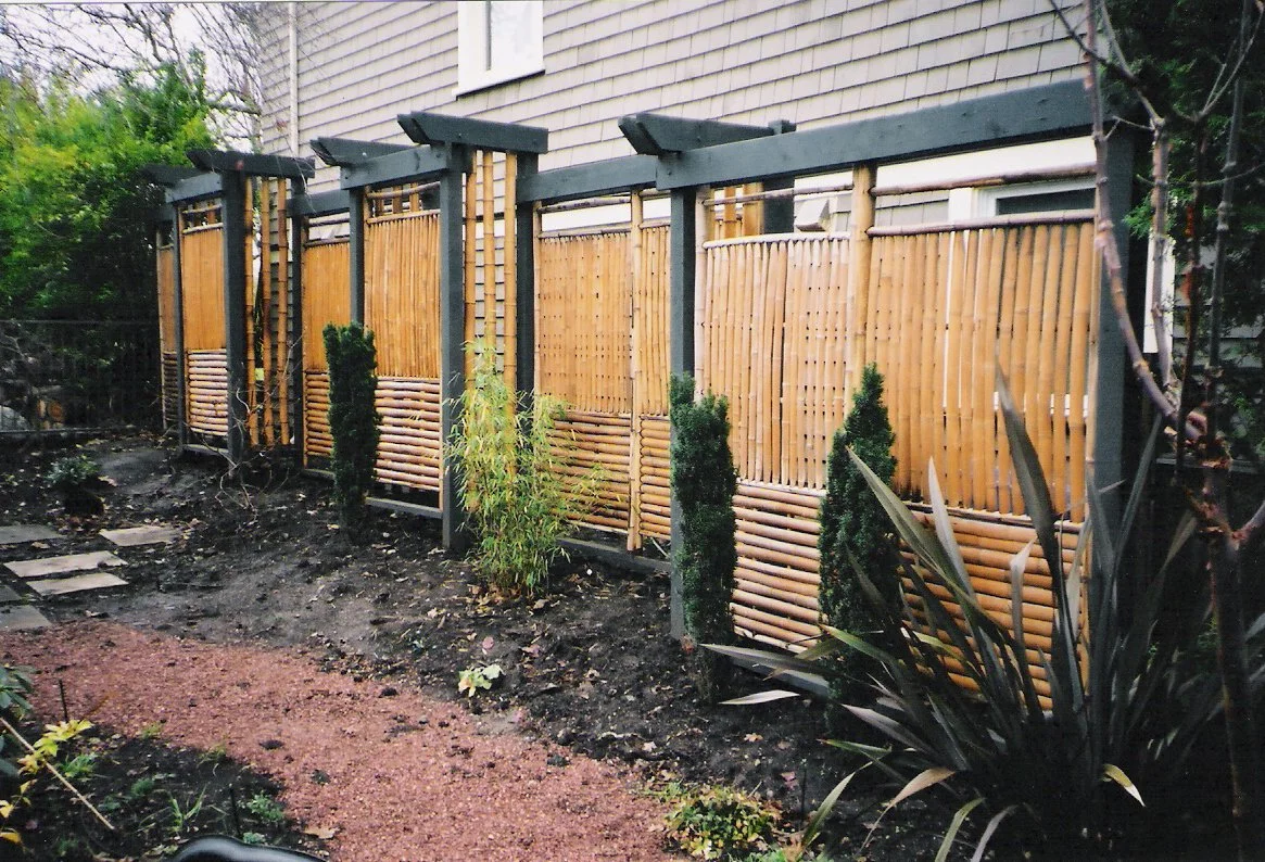 Bamboo Fence.jpg