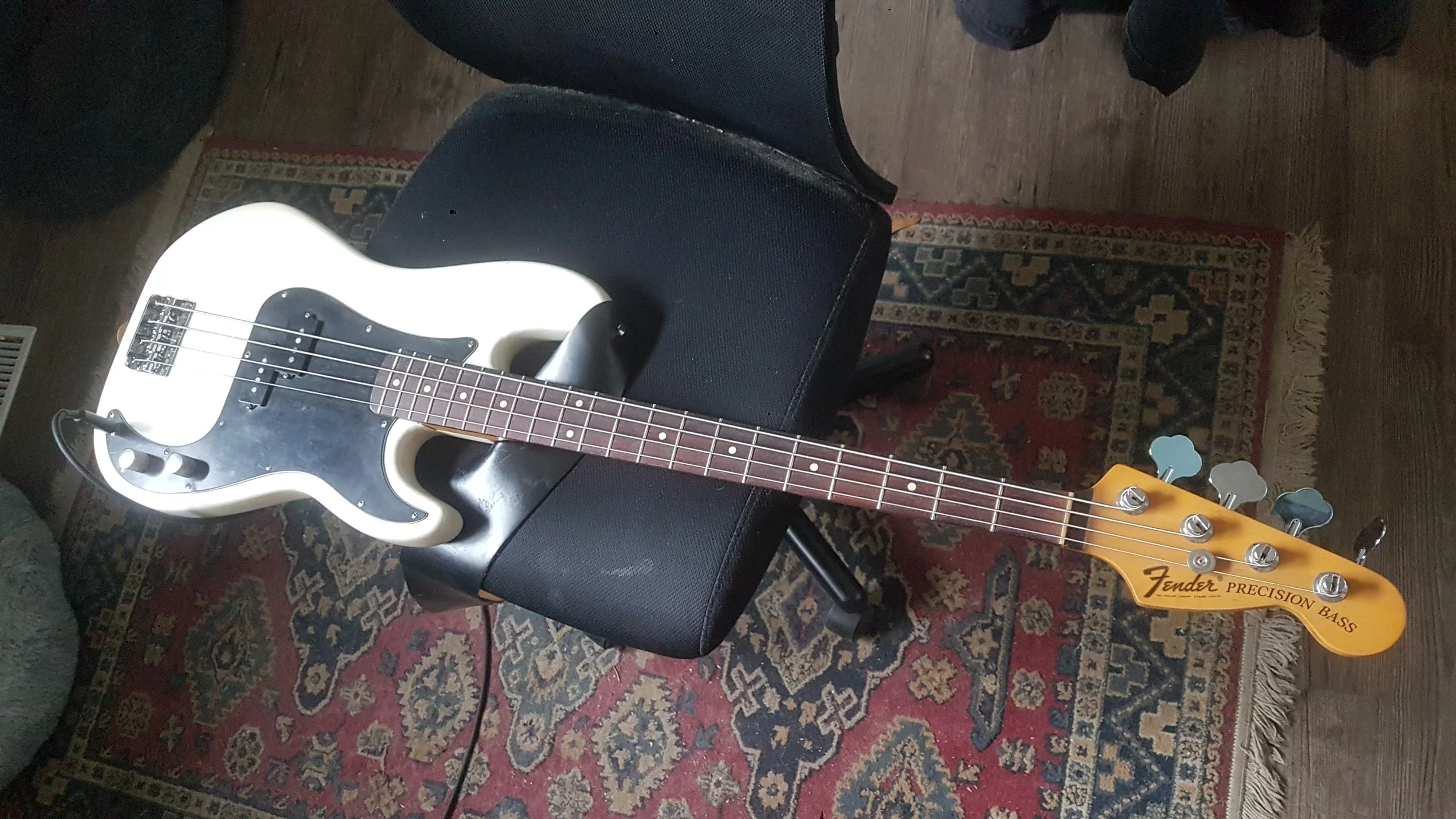 20221103_112202.jpg