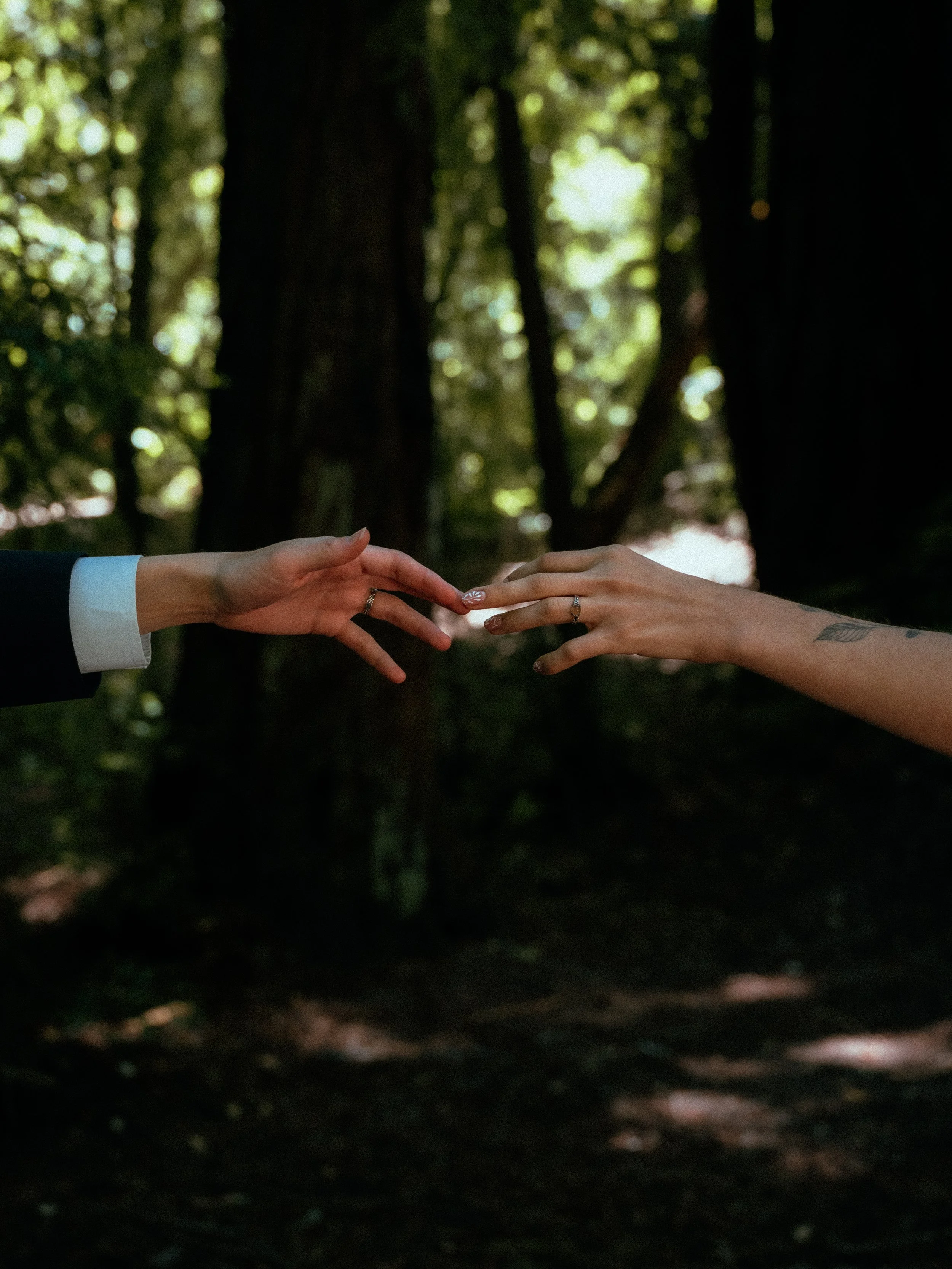 Two hands reaching towards each other in a forest setting with sunlight filtering through trees in the background.