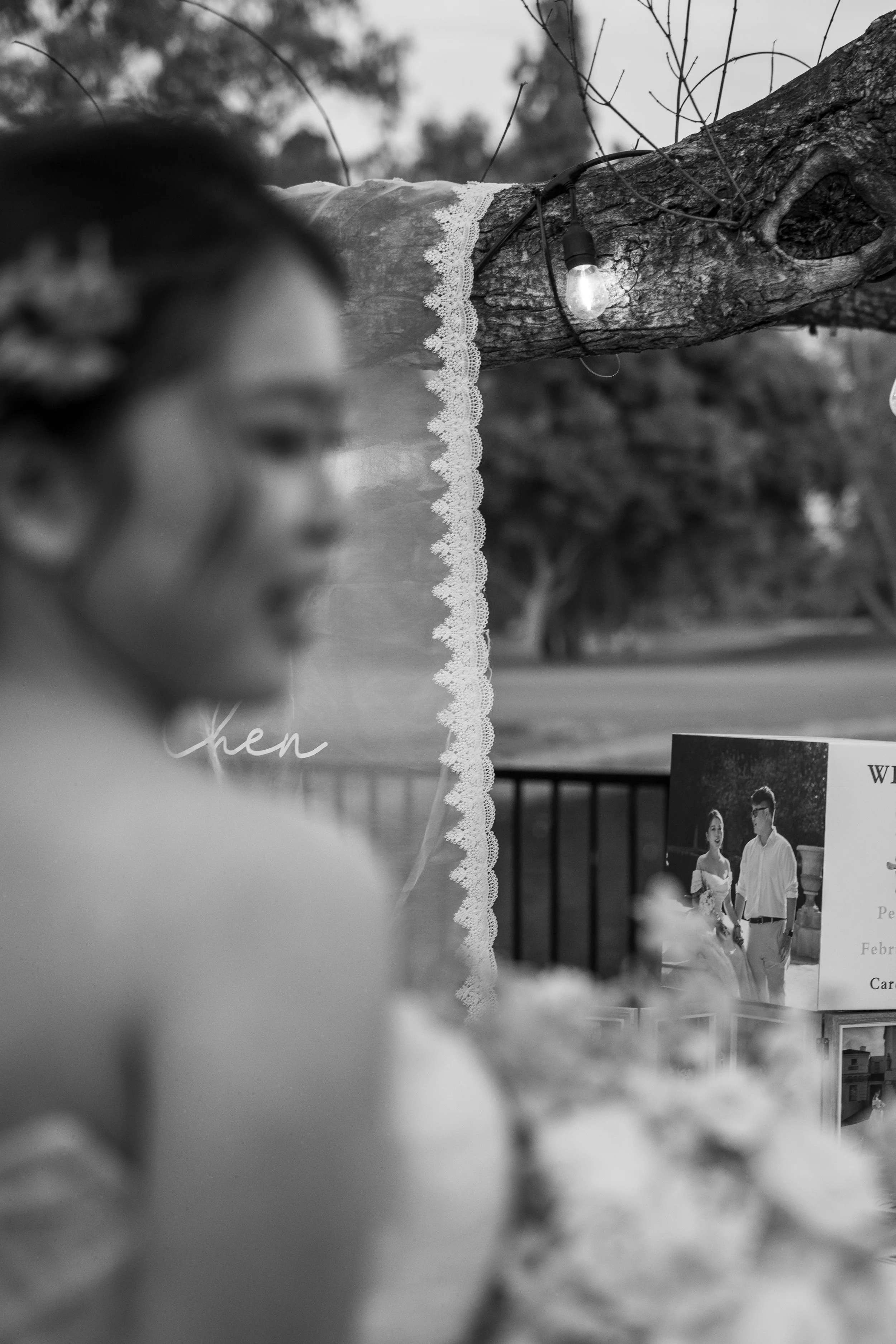 Black and white photo of a woman observing a photograph displayed on a stand, with a tree branch decorated with a string of lights in the background.