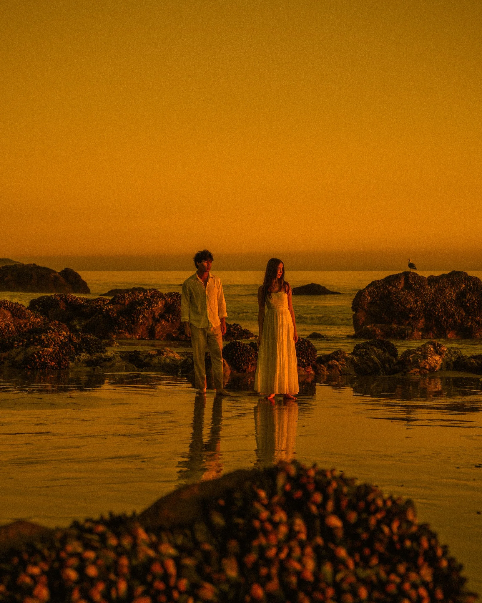 Two people standing on a rocky shoreline at sunset, with a bird perched on a rock nearby.