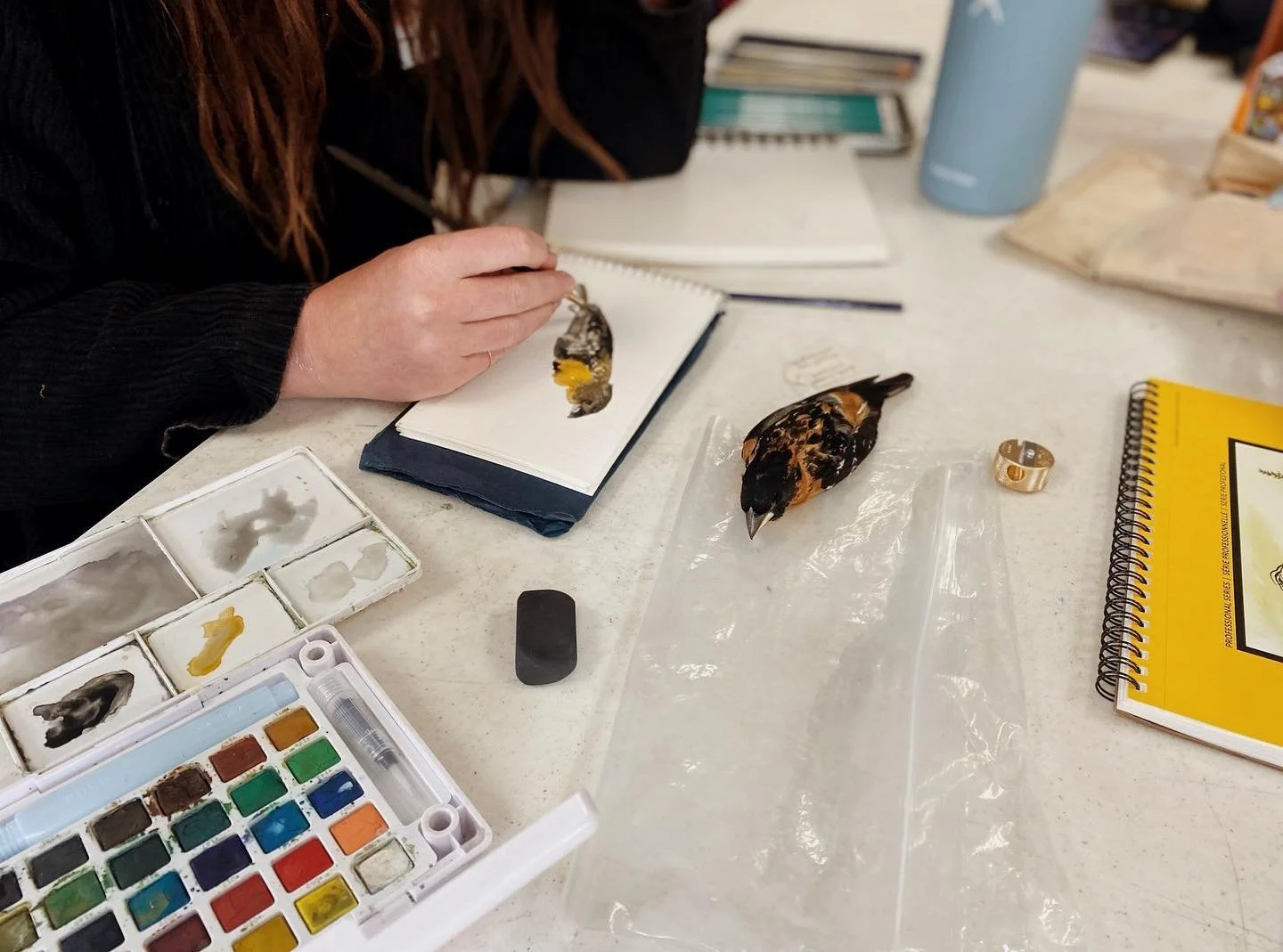Bird workshop2.jpeg