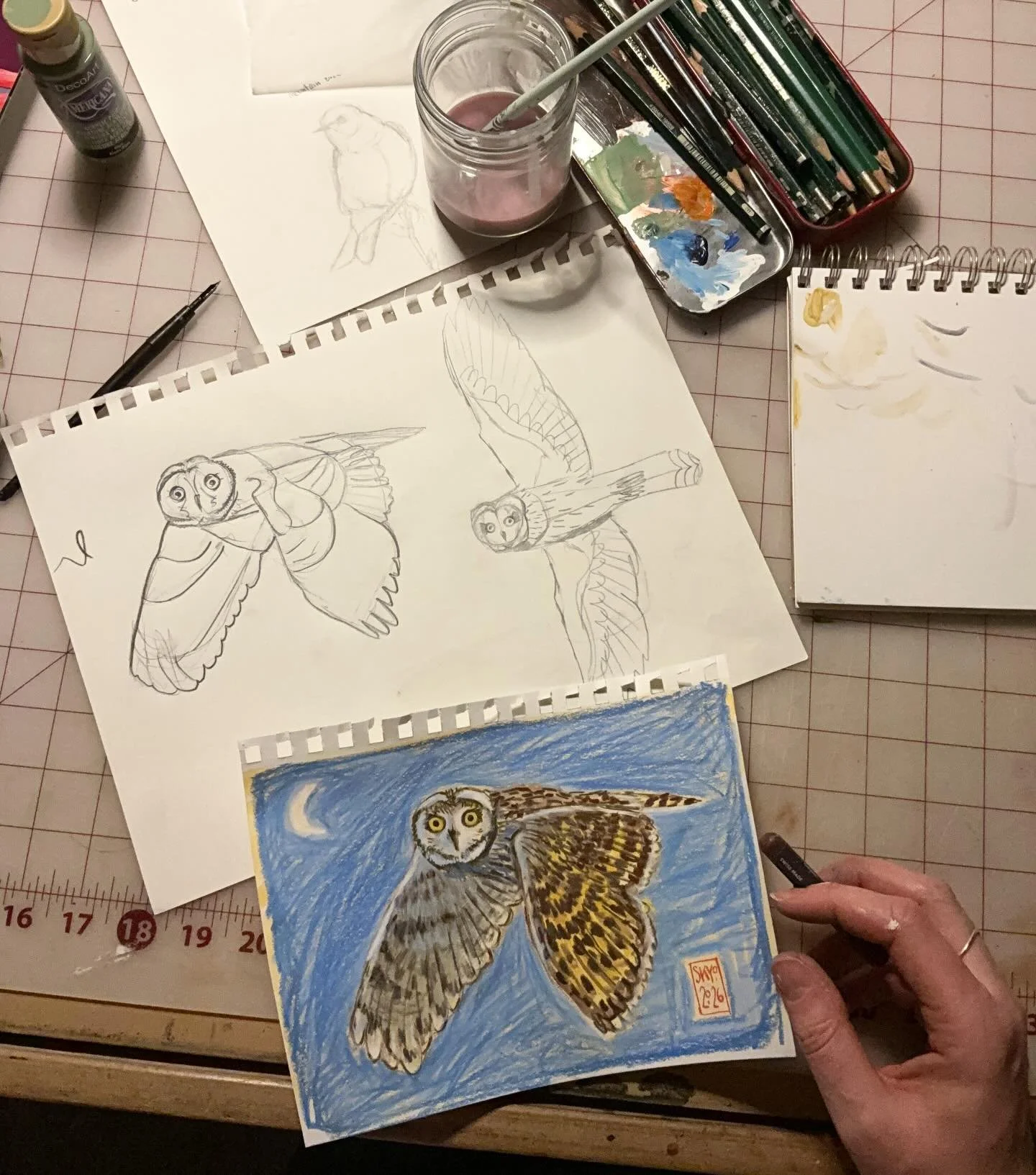 A silly little short eared owl for @birbfest.challenge #birbfest2026 Day 15&ndash; gouache and caran d&rsquo;ache neoart pastels. I&rsquo;m still working on the previous days and am excited to show you more birds! 

@monkeymintaka