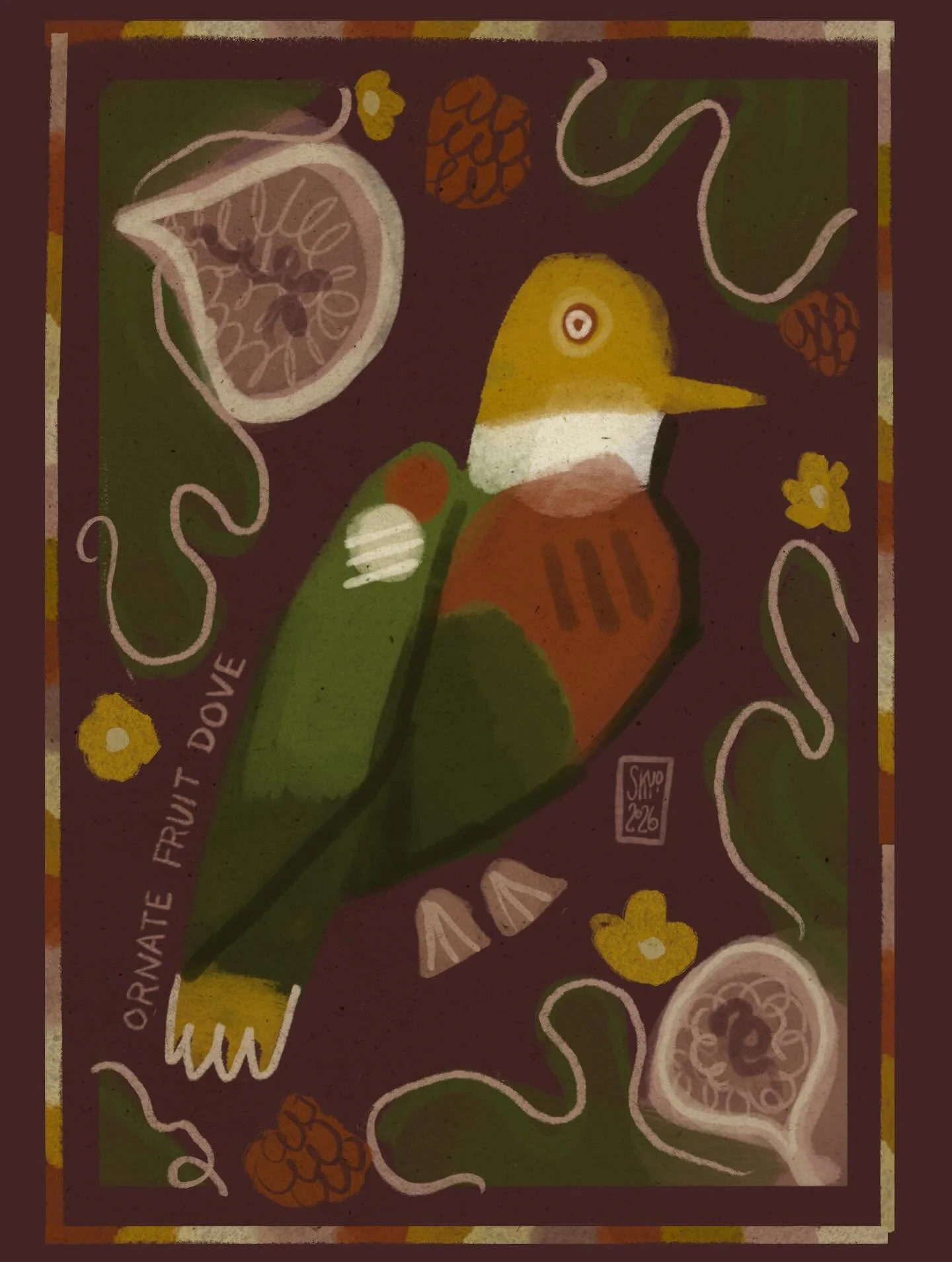 @birbfest.challenge Day 21: Ornate Fruit Dove
As someone trained as a scientific illustrator, I have a hard time sharing this little dove. I have been trying to recover a sense of playfulness with my art the last few years but every part of my being 