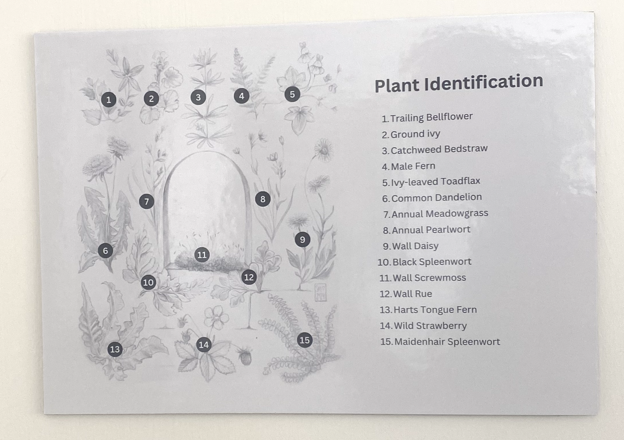 Within the garden walls key exhibit.png
