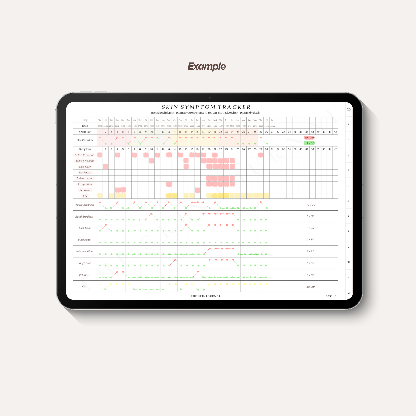 Skin Symtoms Example.png