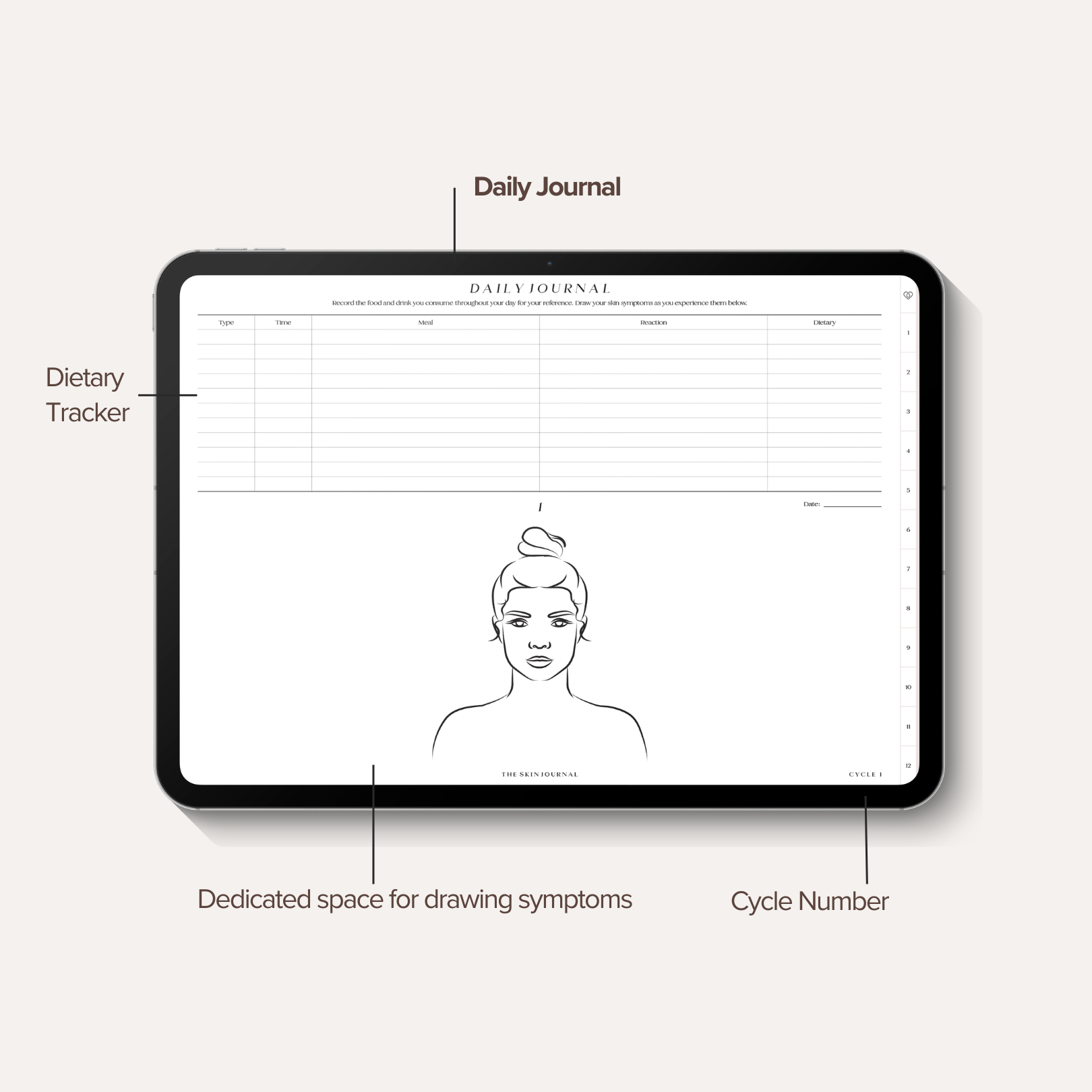 J1 Daily Detailed.png