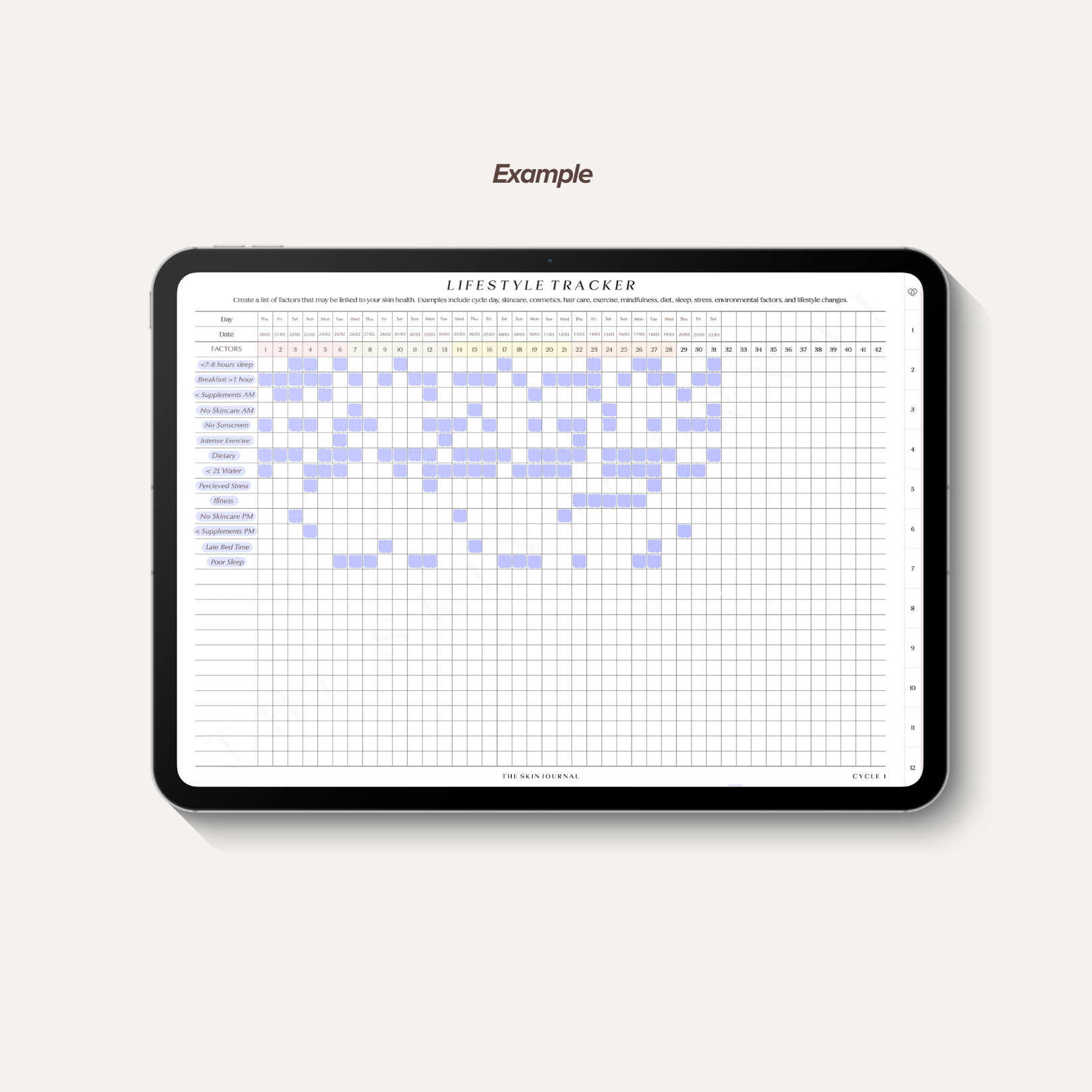 Lifestyle Example.png