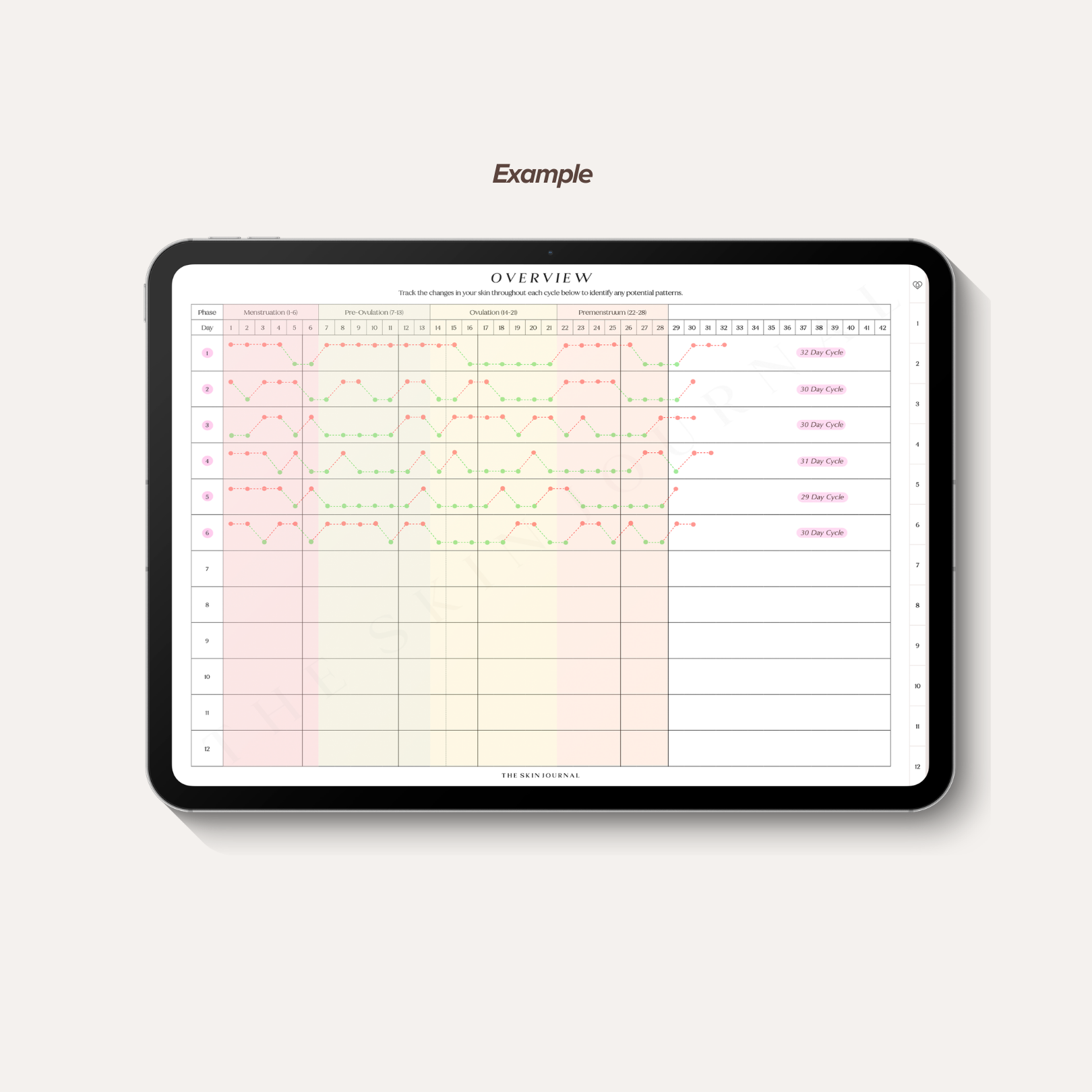 Overview Example.png