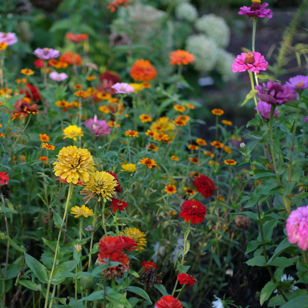 Tend Your Friendships