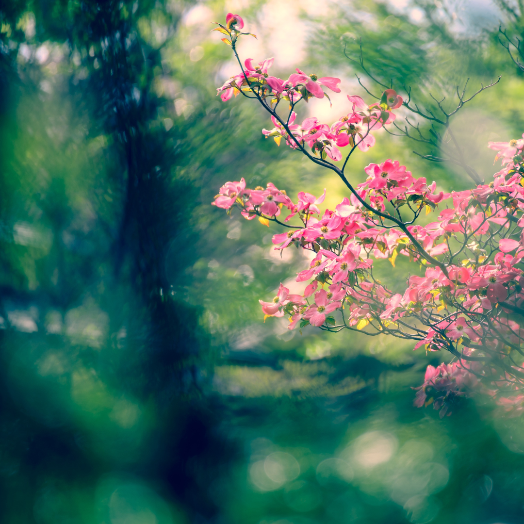 Protecting the Pause