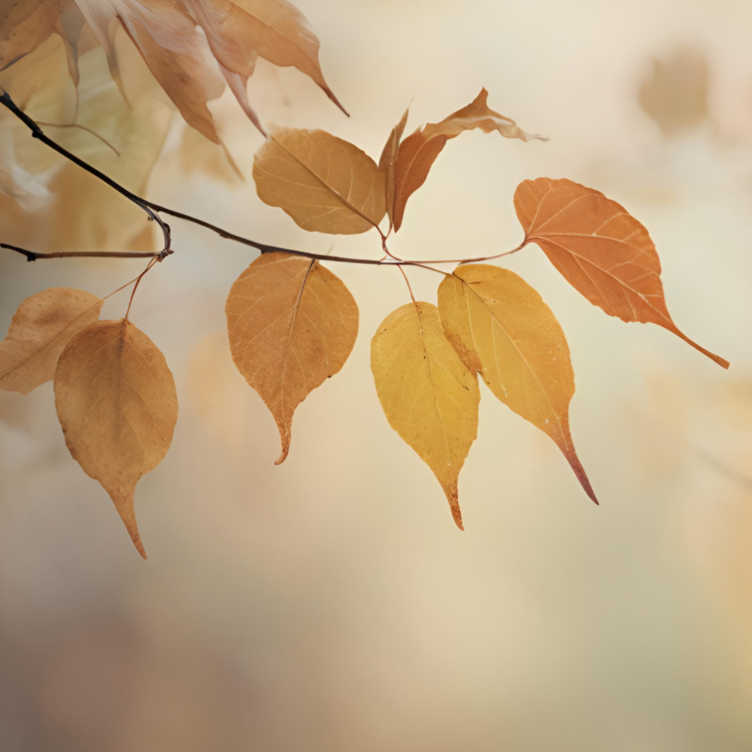 Flowing Through Autumn
