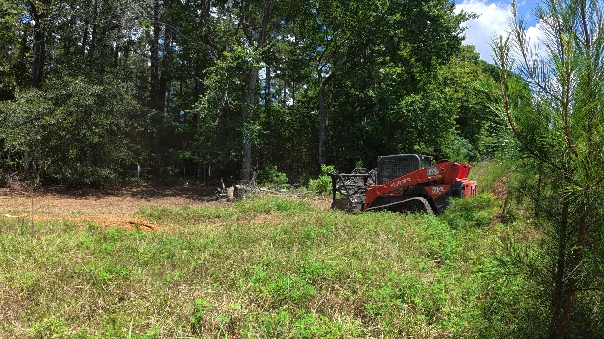 Forestry Mulching | ASG Dirtworx