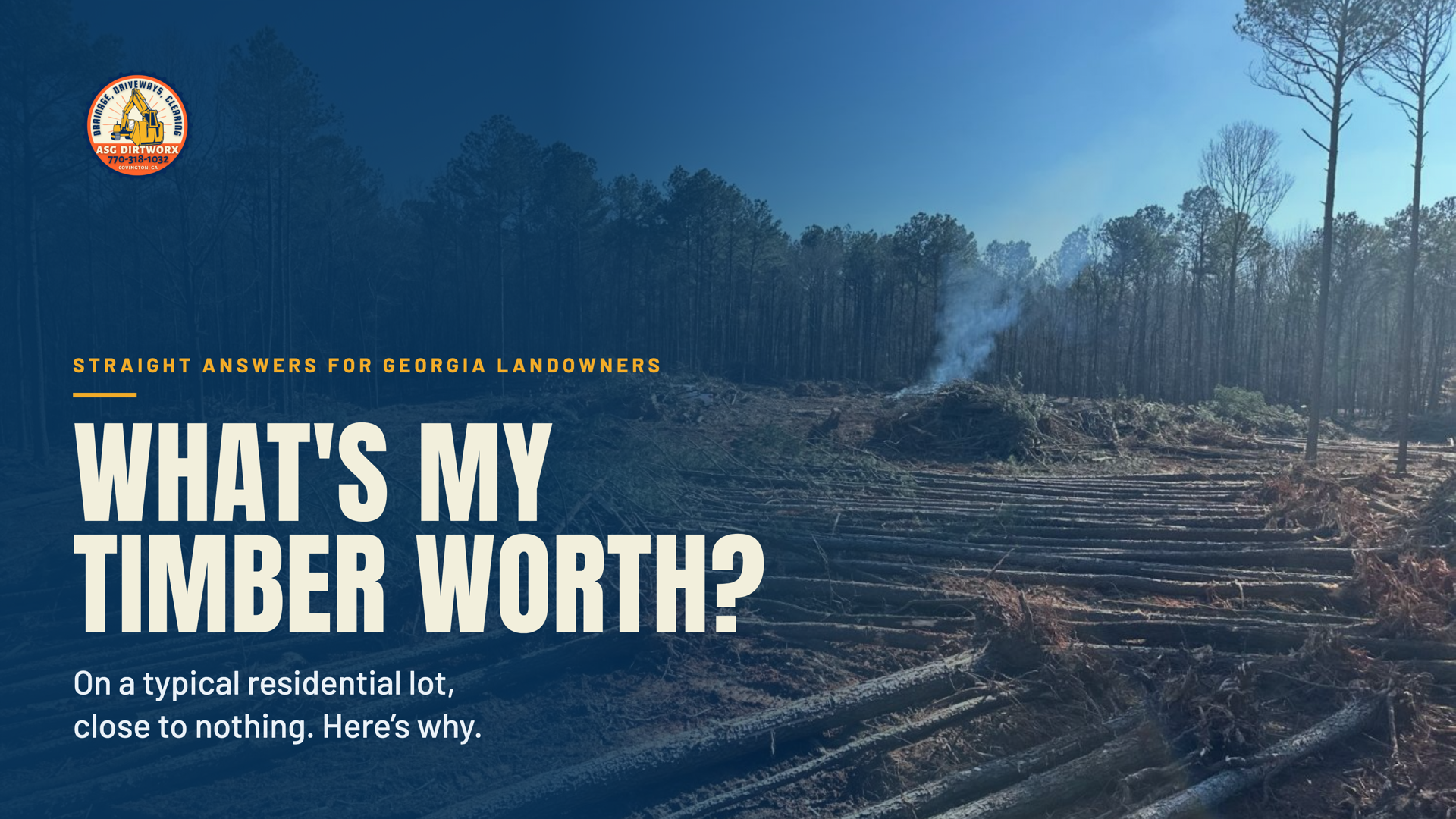 What's My Timber Worth? Straight Answers for Georgia Landowners