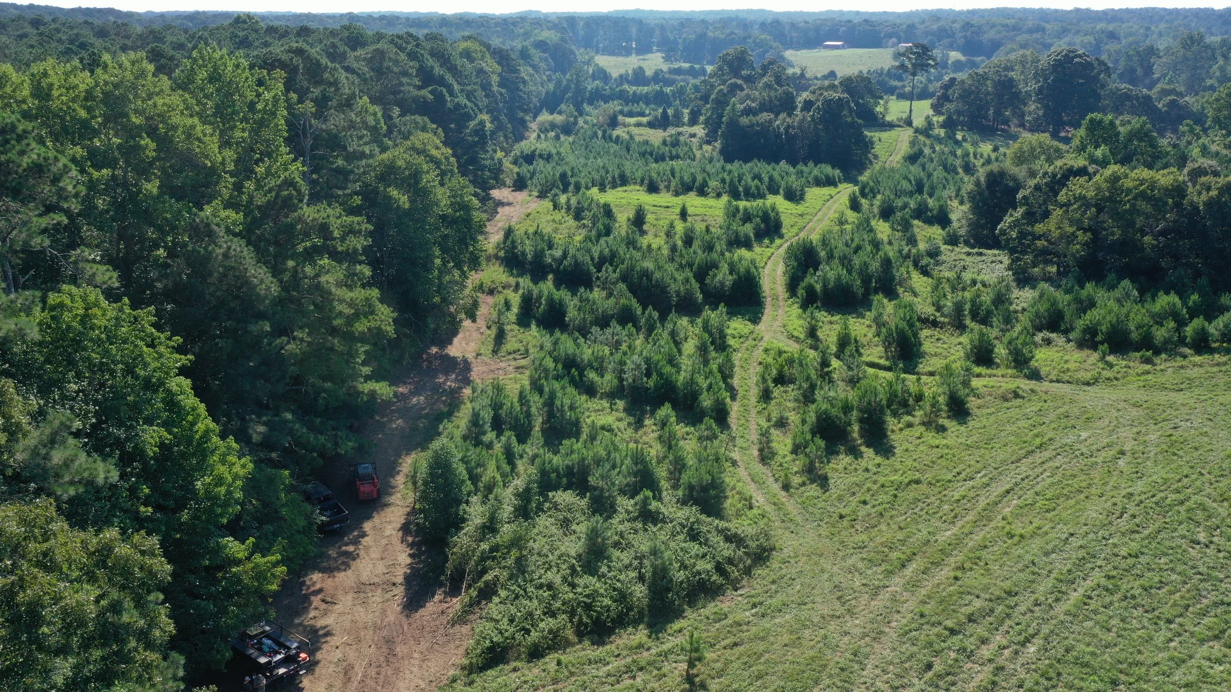 Right-of-Way & Fence-Line Clearing | ASG Dirtworx