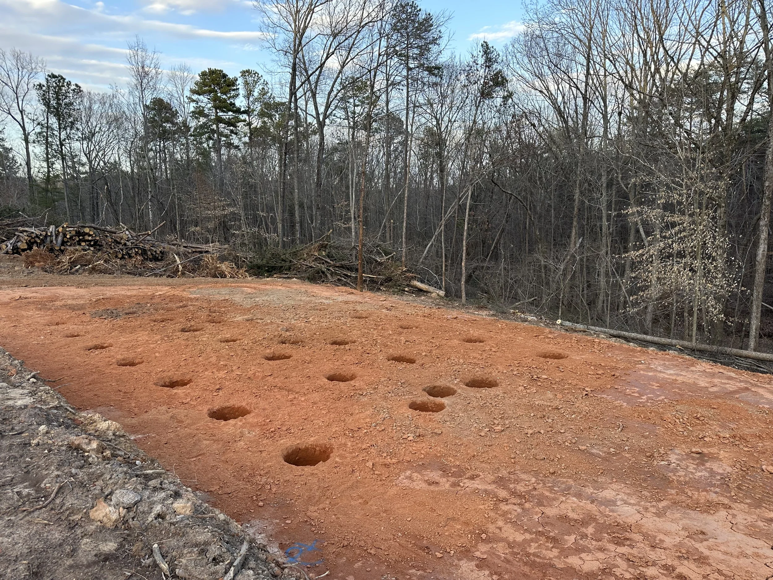 A cleared dirt lot with evenly spaced holes, surrounded by leafless trees and a cloudy sky.