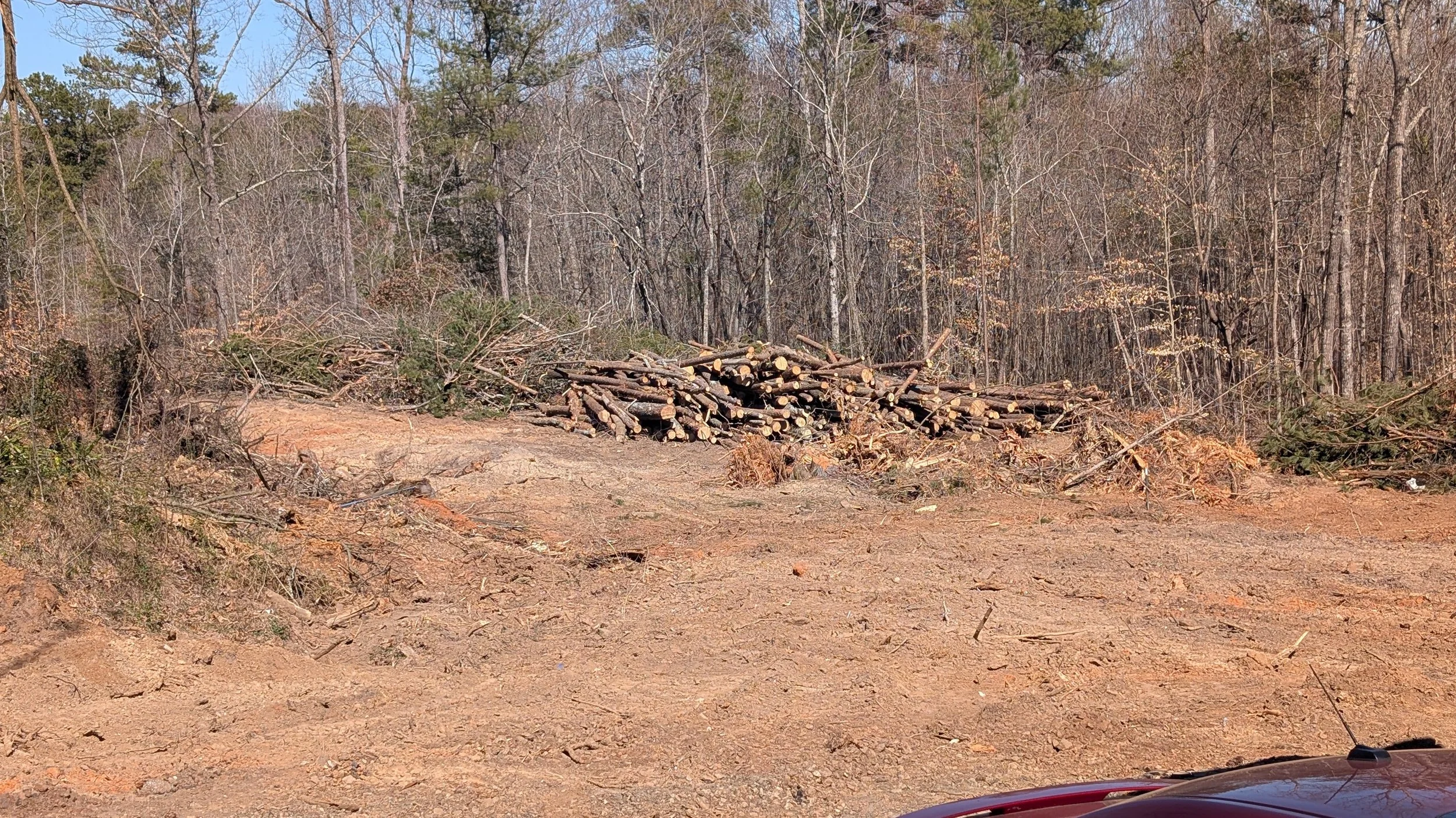 Piles of cut tree branches and logs on bare ground in a wooded area with leafless trees in the background and a small part of a red vehicle in the lower right corner.