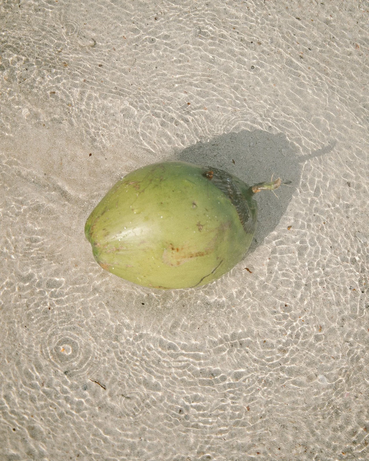 Une noix de coco fraîche sur une plage avec du sable.