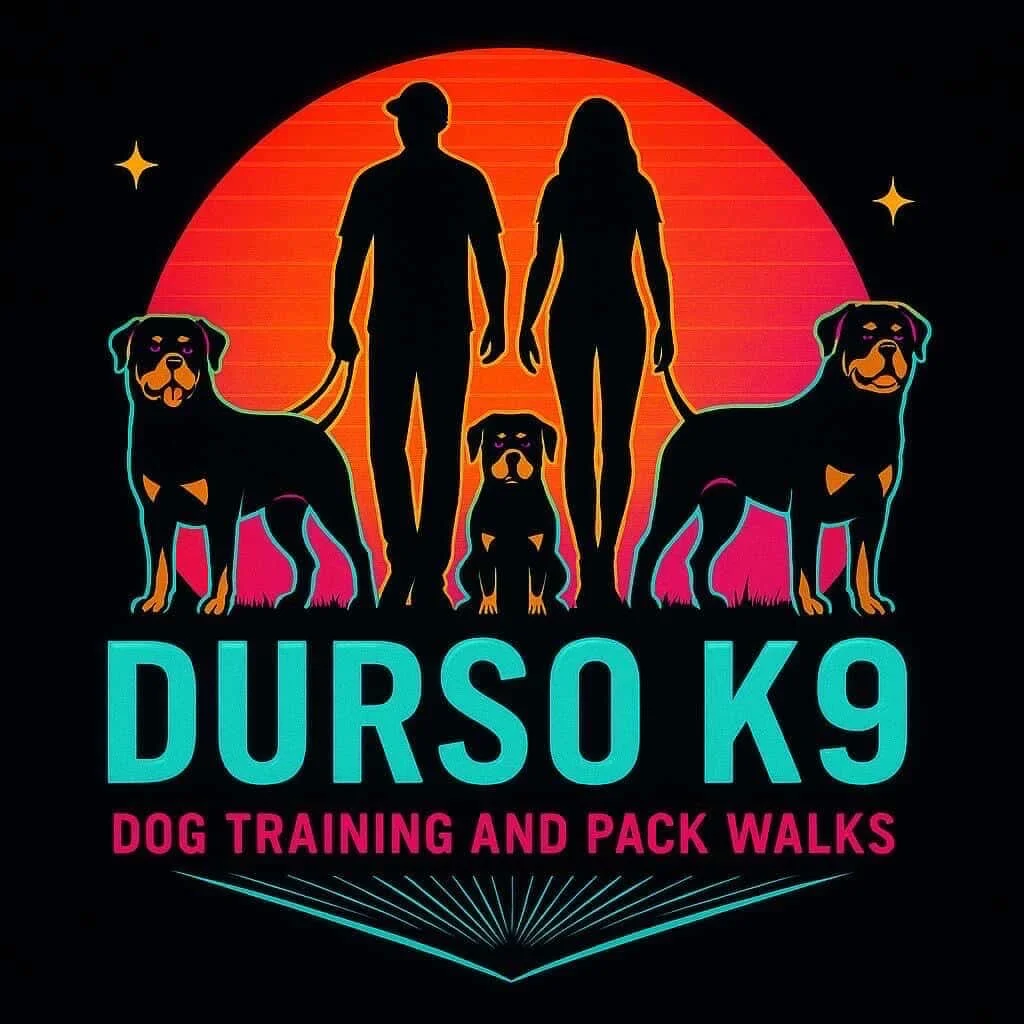 Dog Training, Pack Walks &amp; Day Camp from Salem to Windham NH