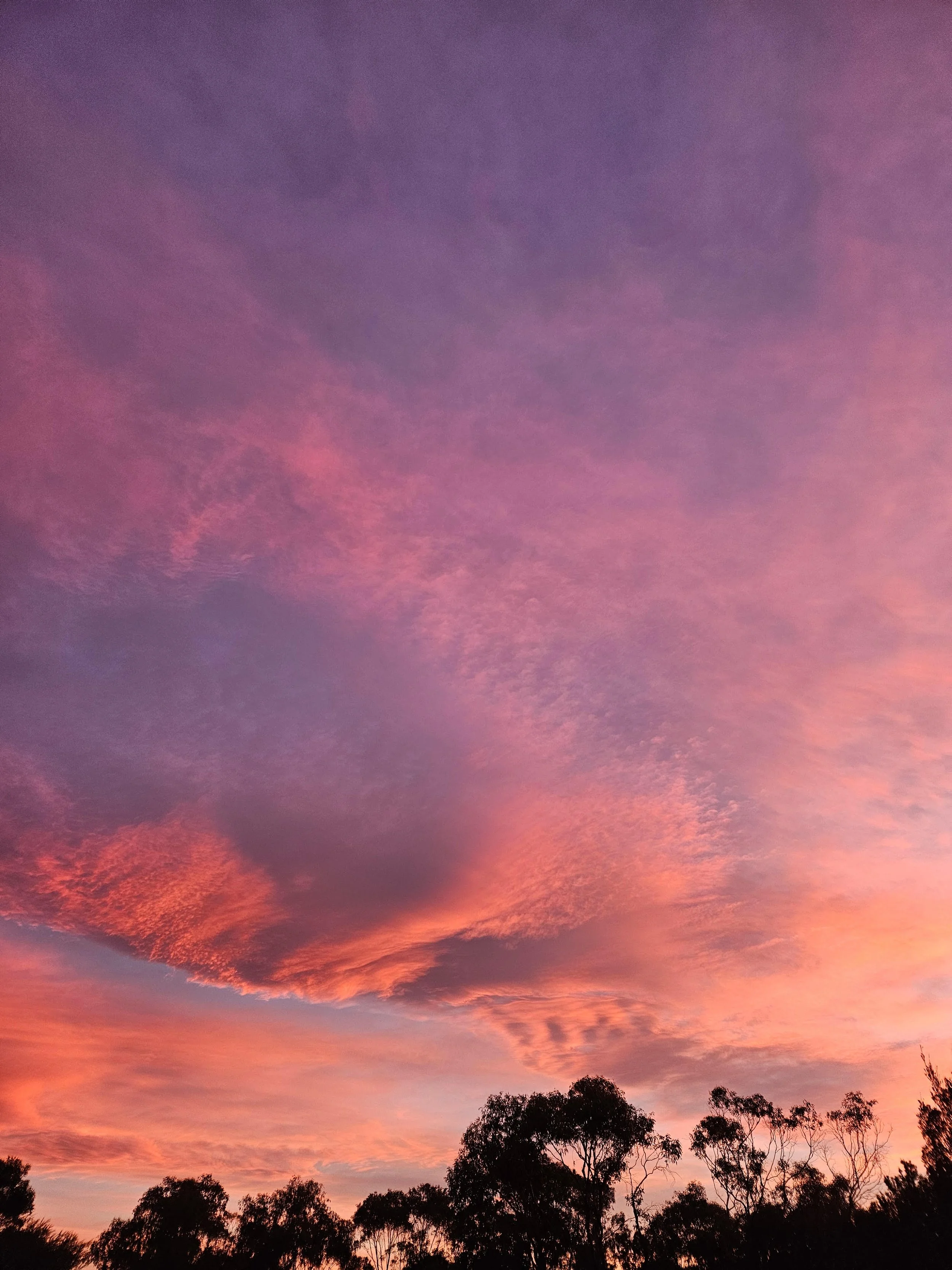 sunset.jpg