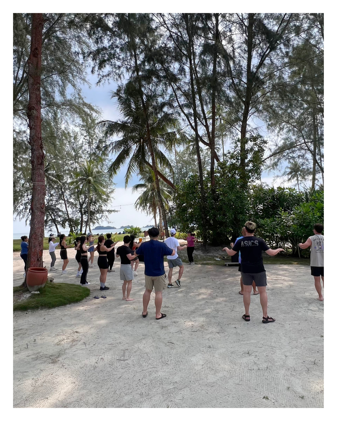 Group of people participating in an outdoor yoga or exercise class under tall trees near a beach.