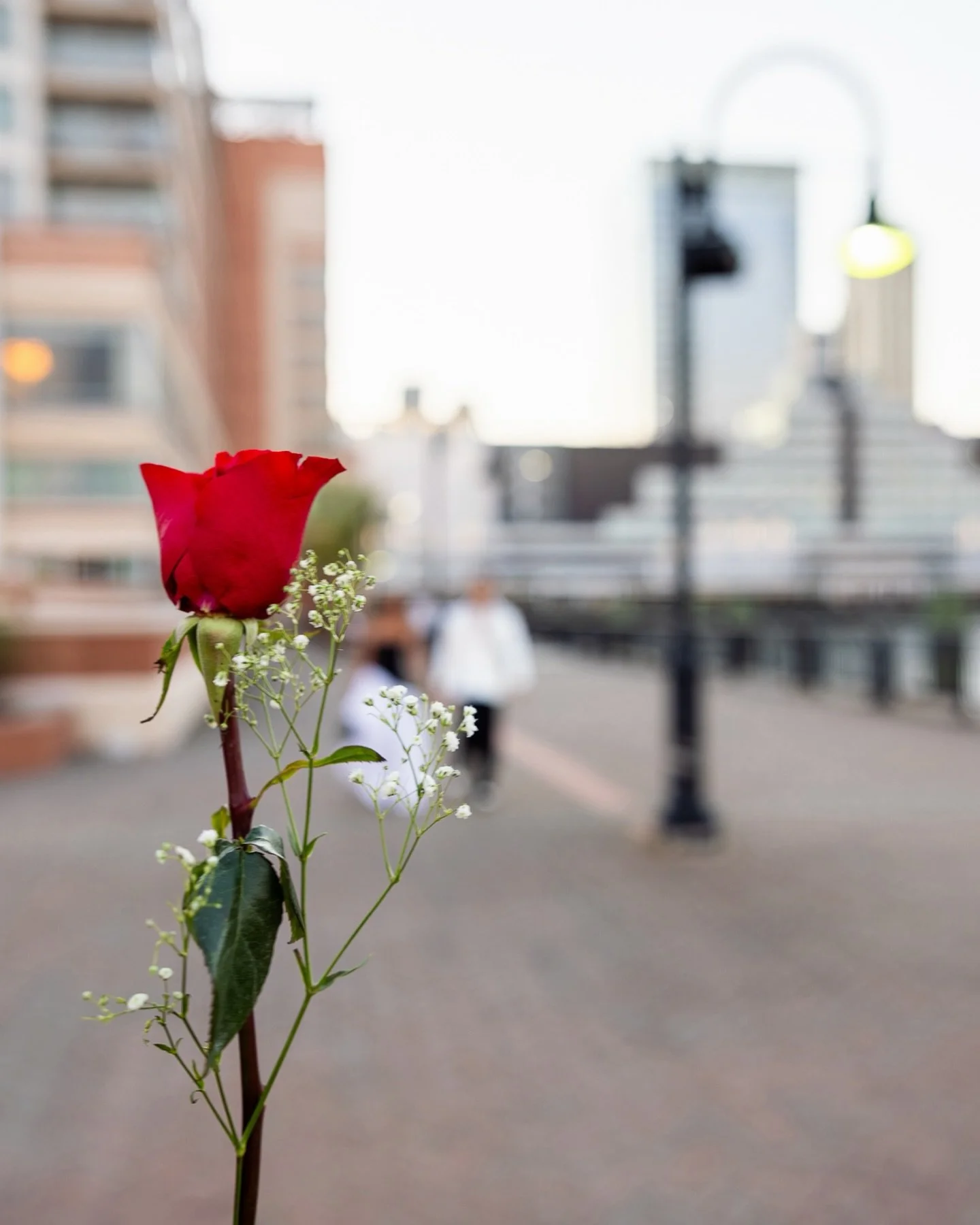 The story of how it happened!

Got a proposal idea this season?

#engagementphotographer #nycroses #nycengagementphotographer