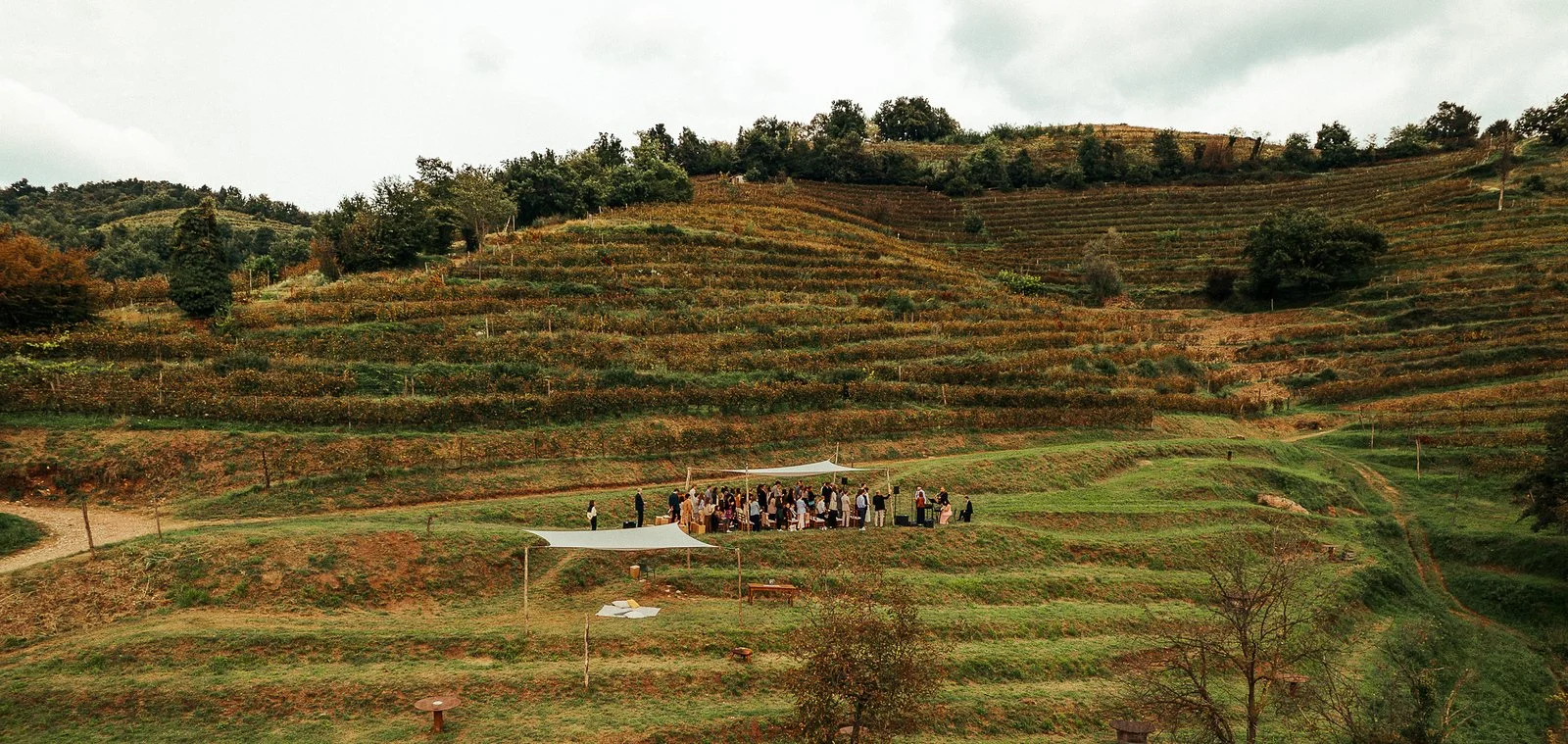 WEDDING 10.jpg
