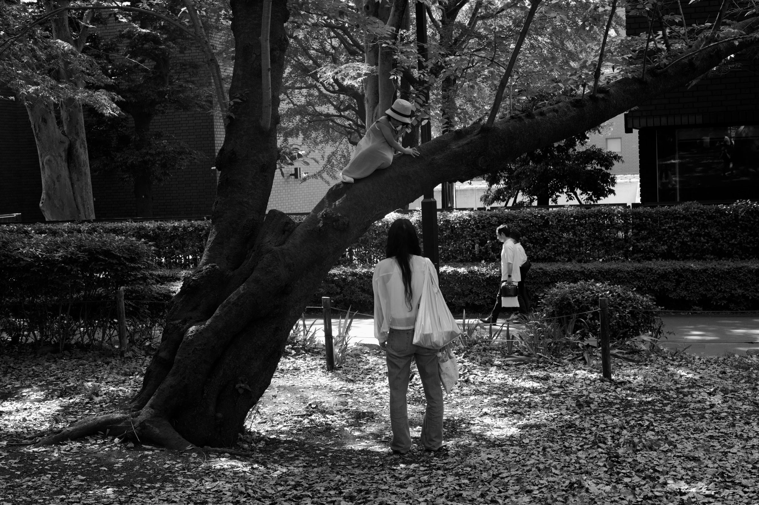 Ueno Park, Tokyo 2026