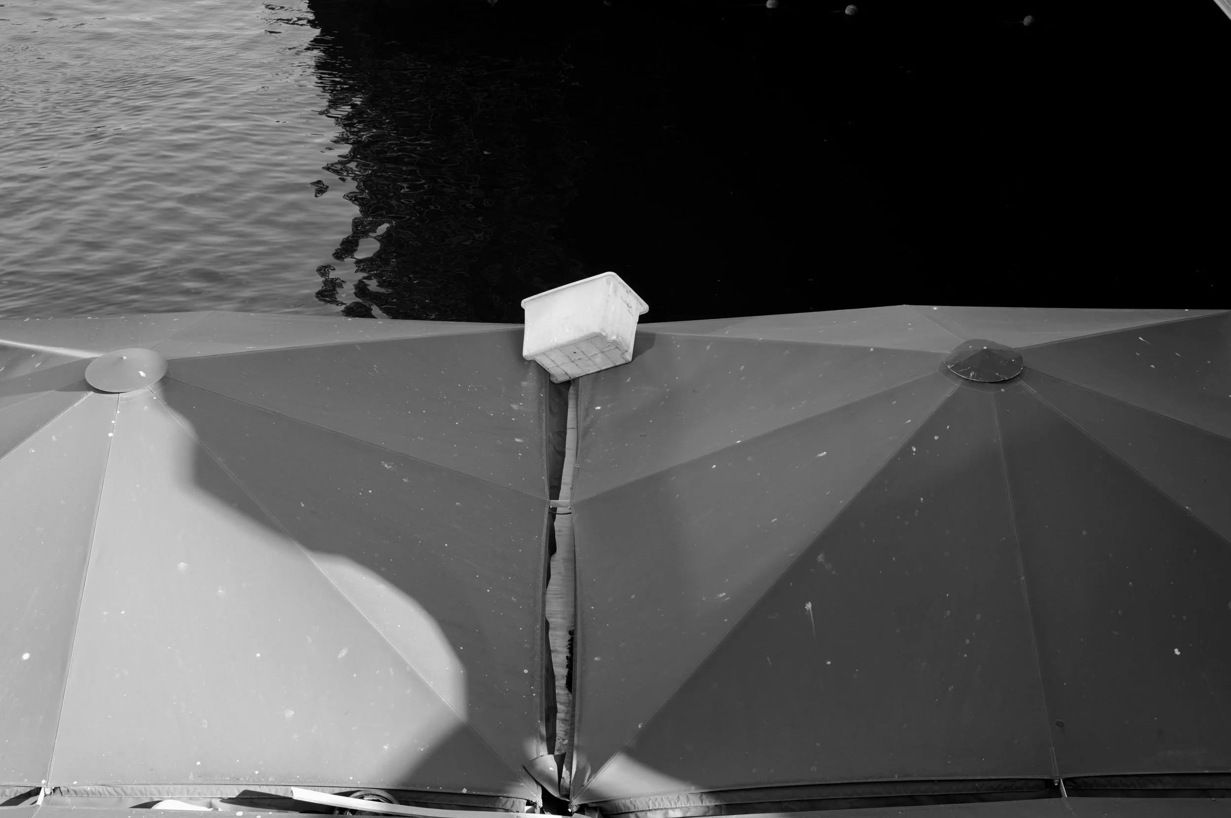 Banks of Yarra River, Melbourne 2026