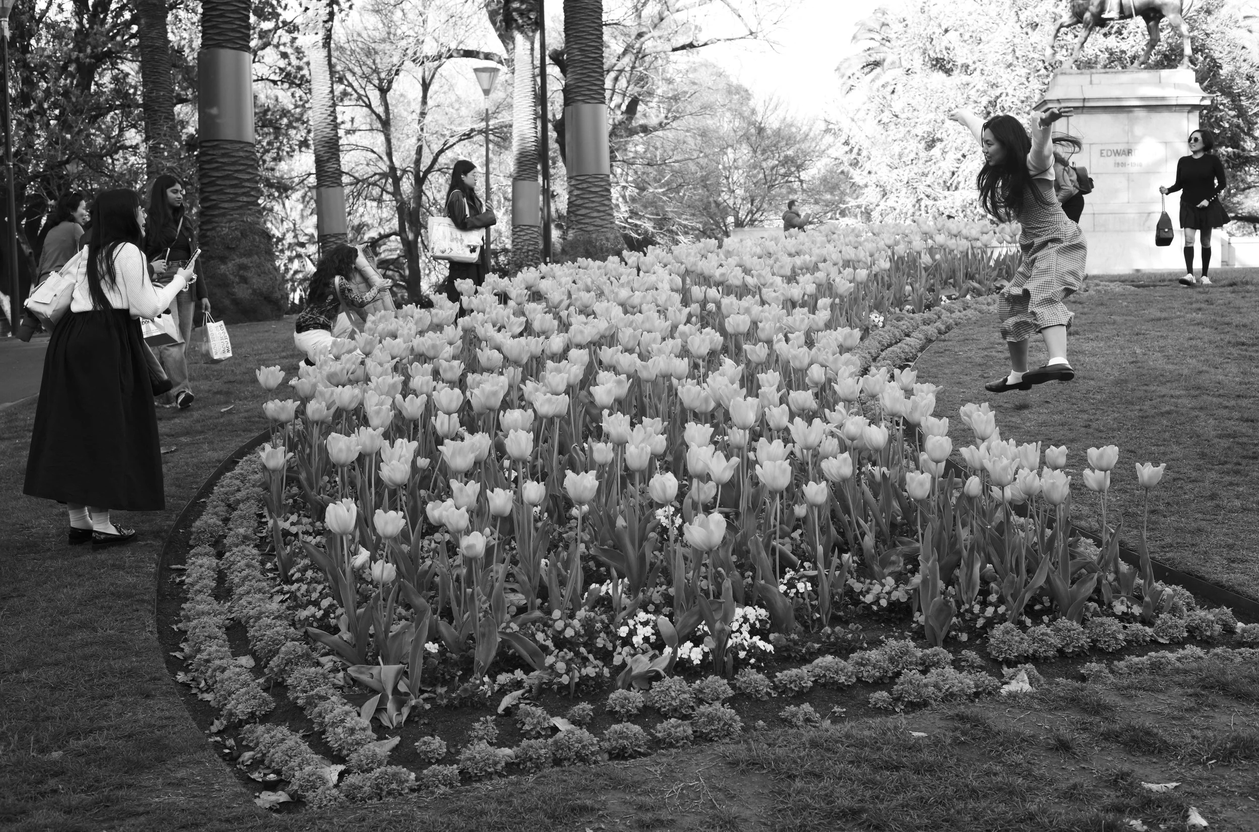 Alexandra Gardens, Melbourne 2025