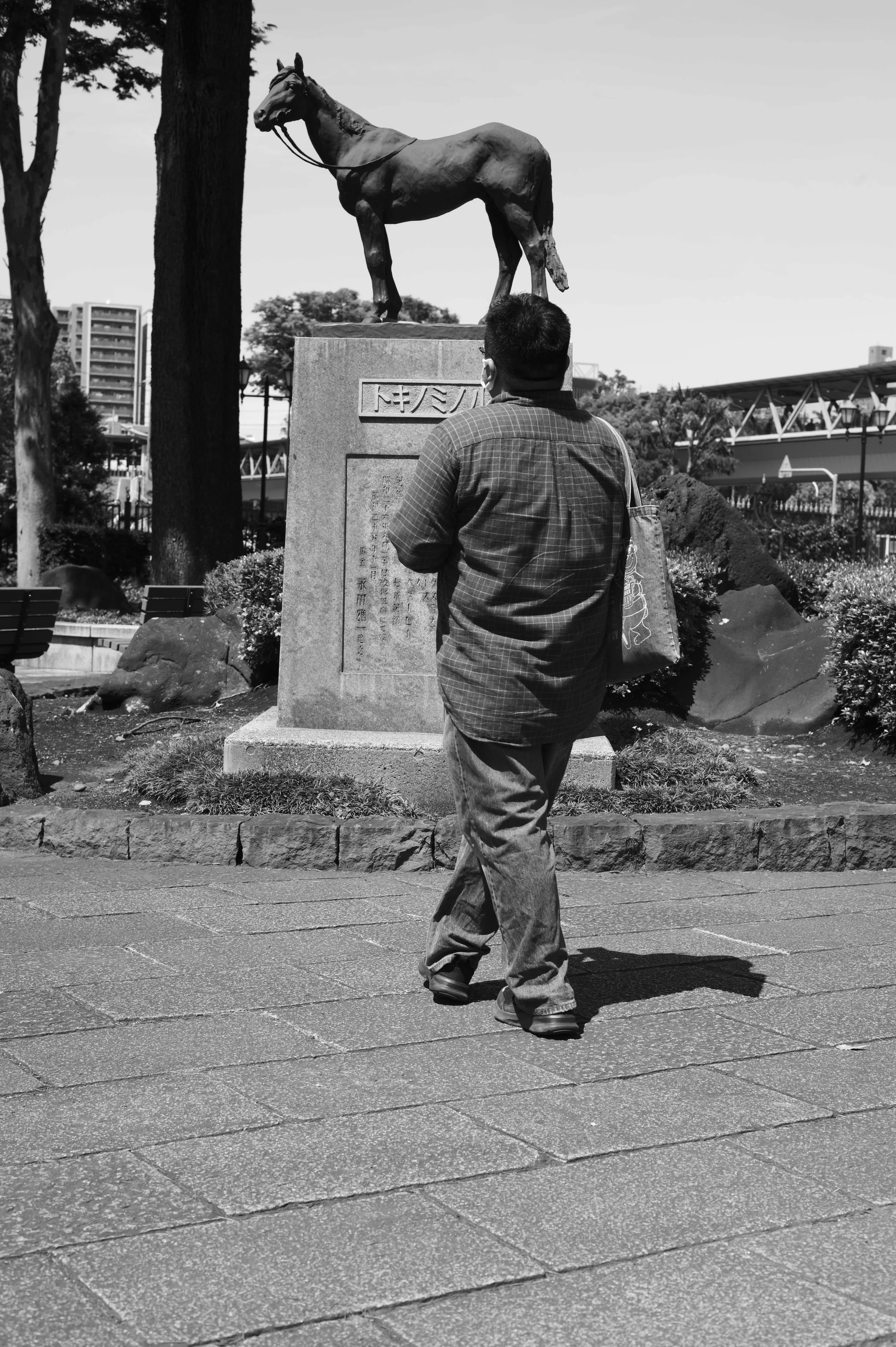 Tokyo racecourse, Fuchu 2025