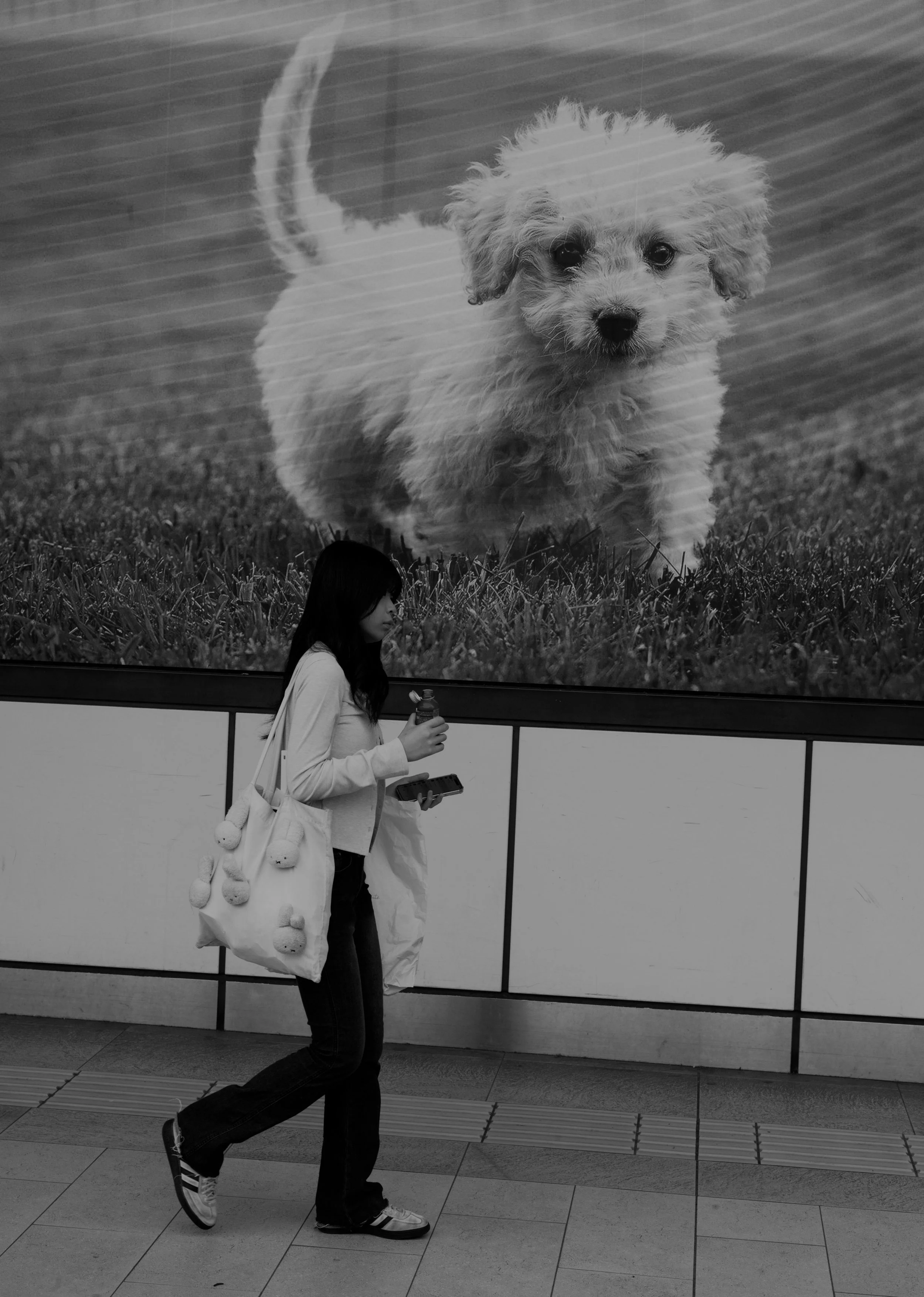 Shinjuku City, Tokyo 2026