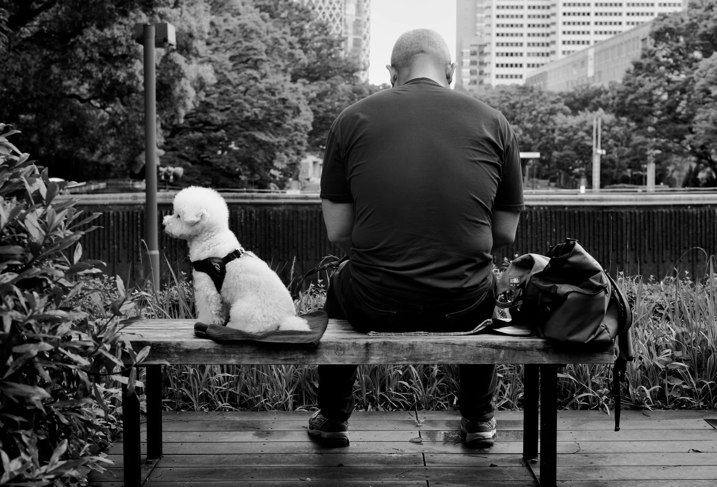 Shinjuku Chuo Park, Tokyo 2026