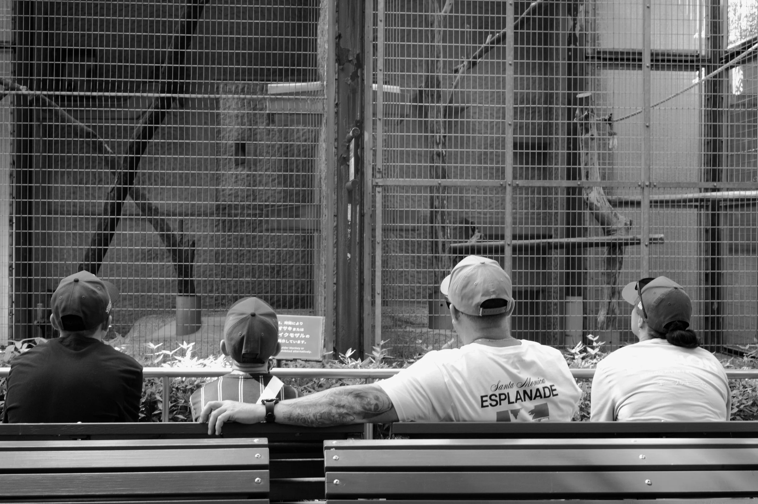 Ueno zoo, Tokyo 2025