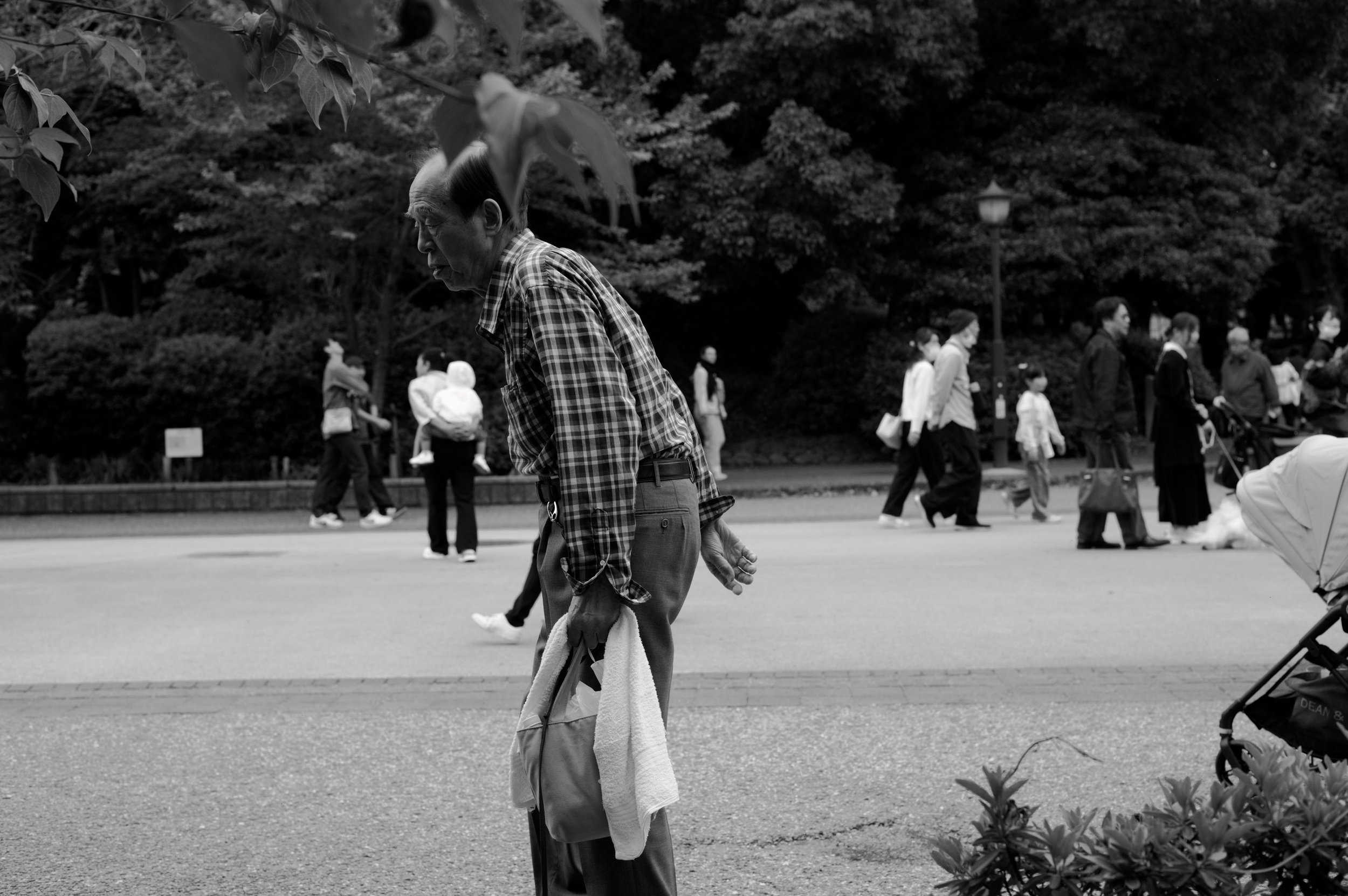 Ueno Park, Tokyo 2026