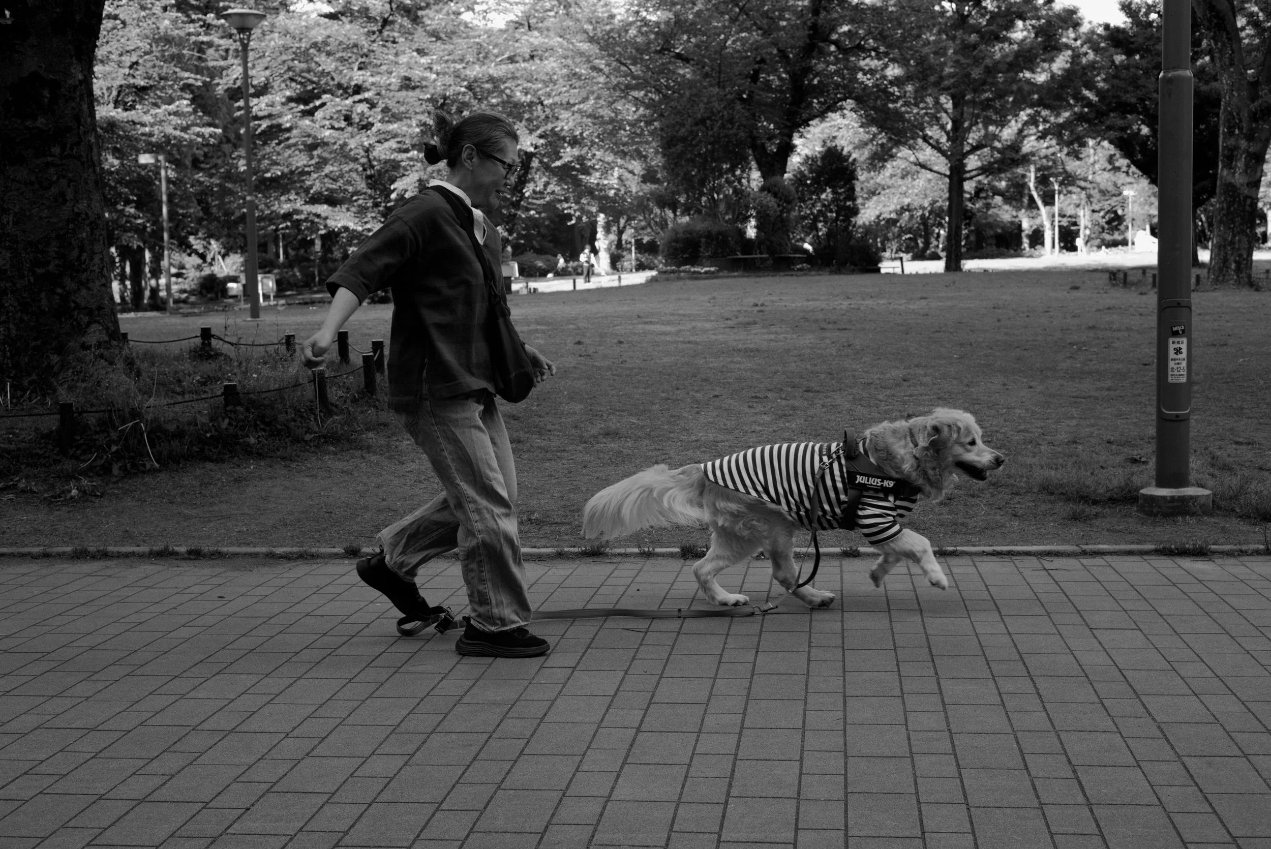 Shinjuku Chuo Park, Tokyo 2026
