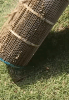 There's an alternative better way to filter your pool other than cartridges