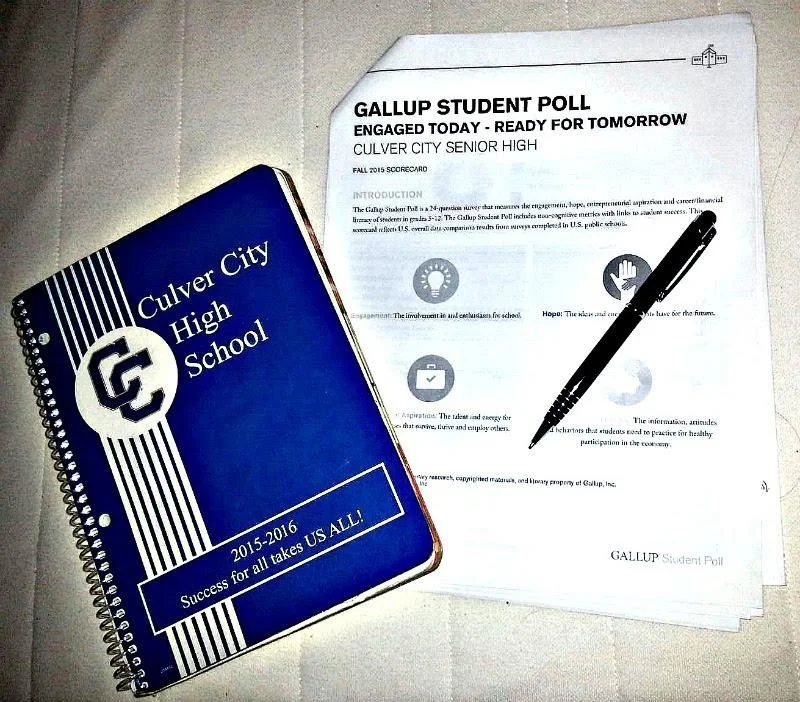 Is CCHS living up to it's expectations?