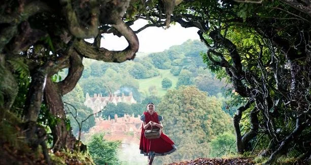 Go to the Wood!: Into the Woods