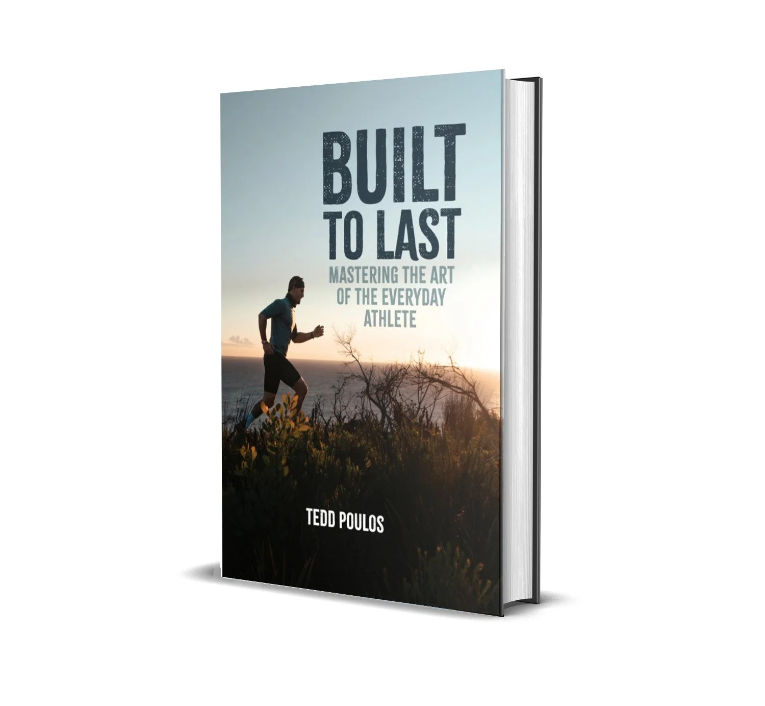 3D Book Mock Up.jpg