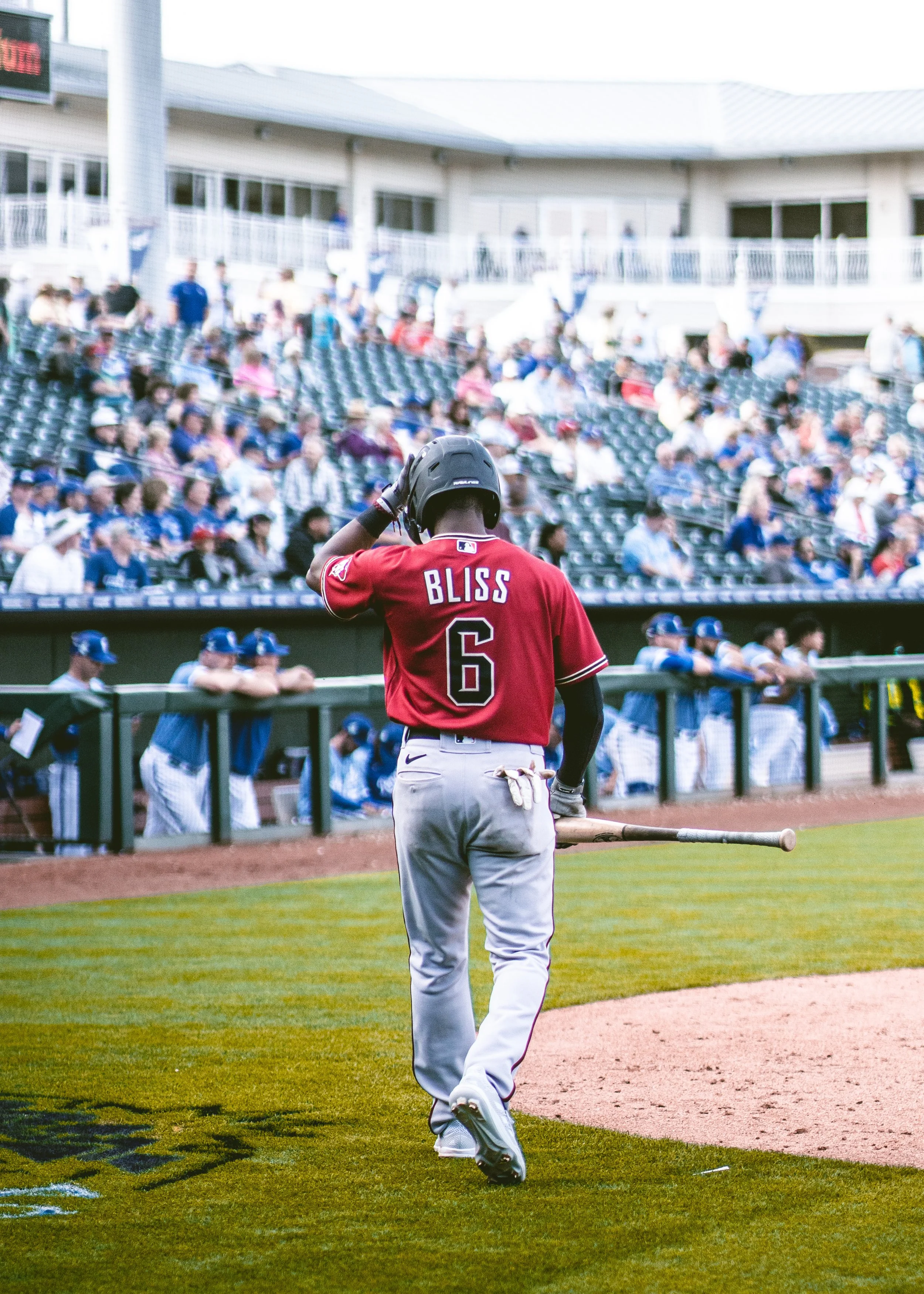 A baseball player named Bliss, wearing a red jersey with the number 6, stands on the field holding a bat and adjusting his helmet. His team is sitting by the dugout, and fans are seated in the stands.