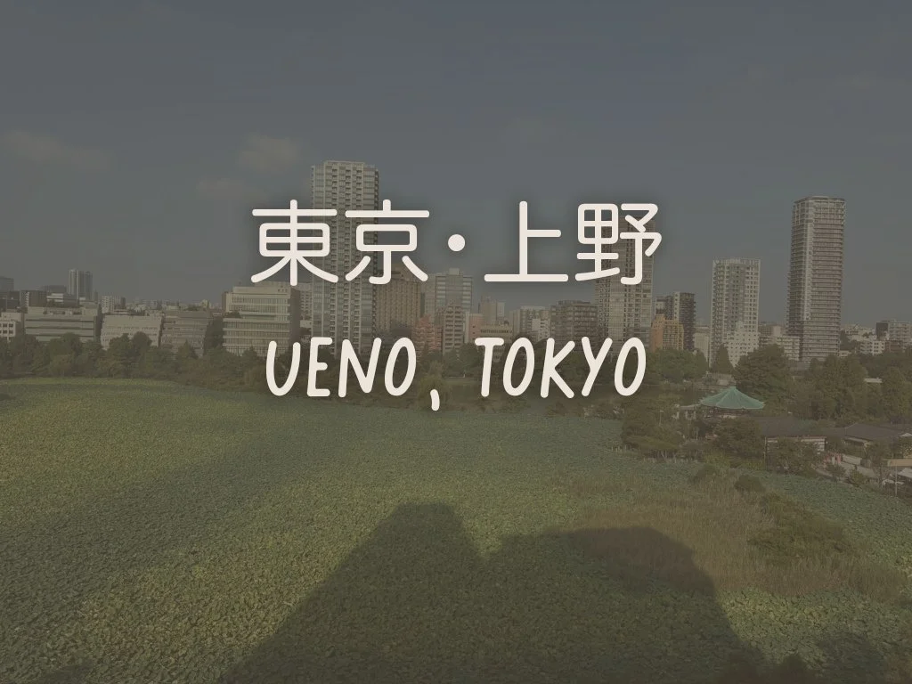 Lotus Dreams, Painted Scenes and a few Pandas…