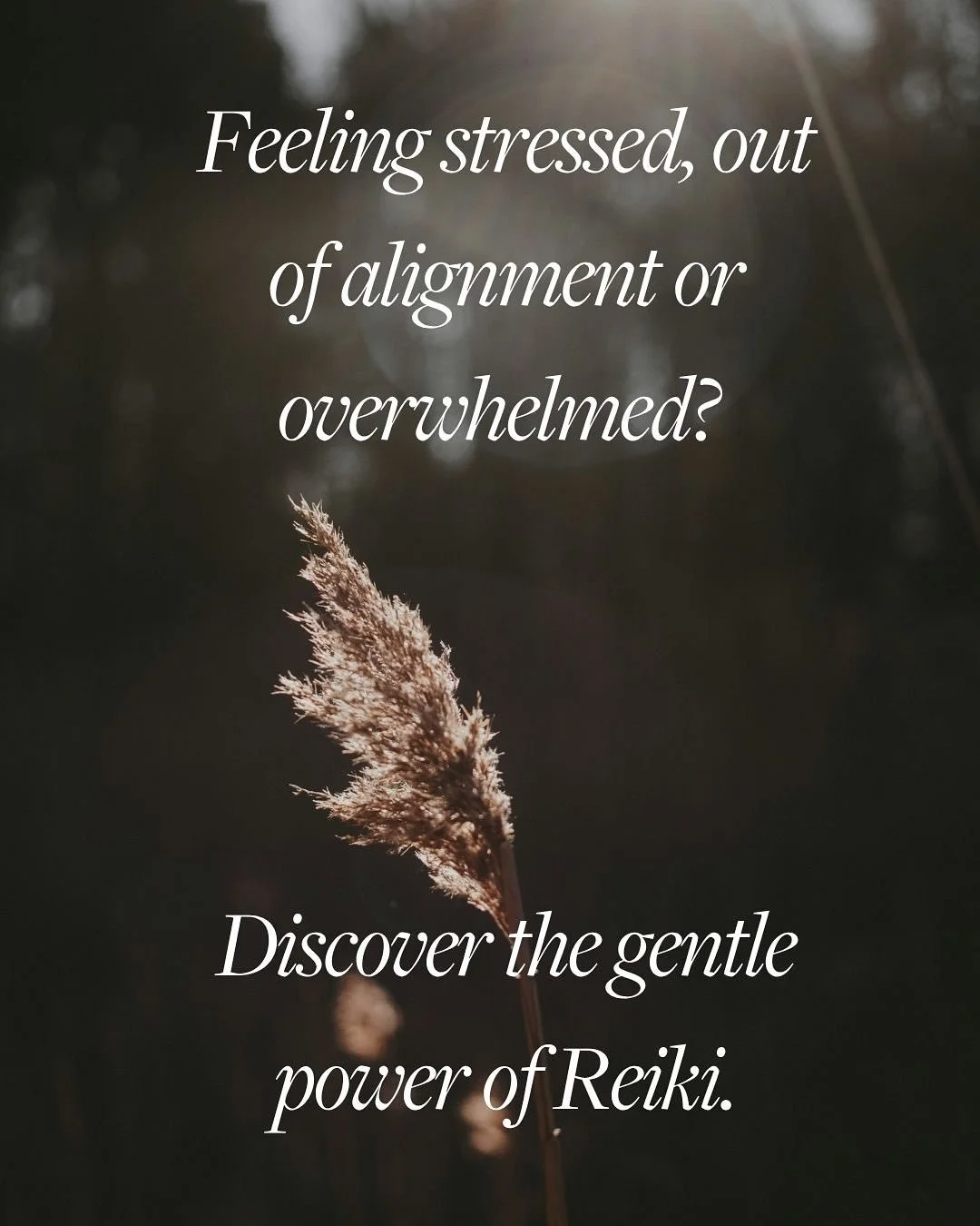 Ready for your energy reset?✨

As we move towards the end of the year, many of us feel depleted. The fatigue, the mental clutter, the sense that our body is holding more than it can process. 

Aligning our energy through healing helps you realign you