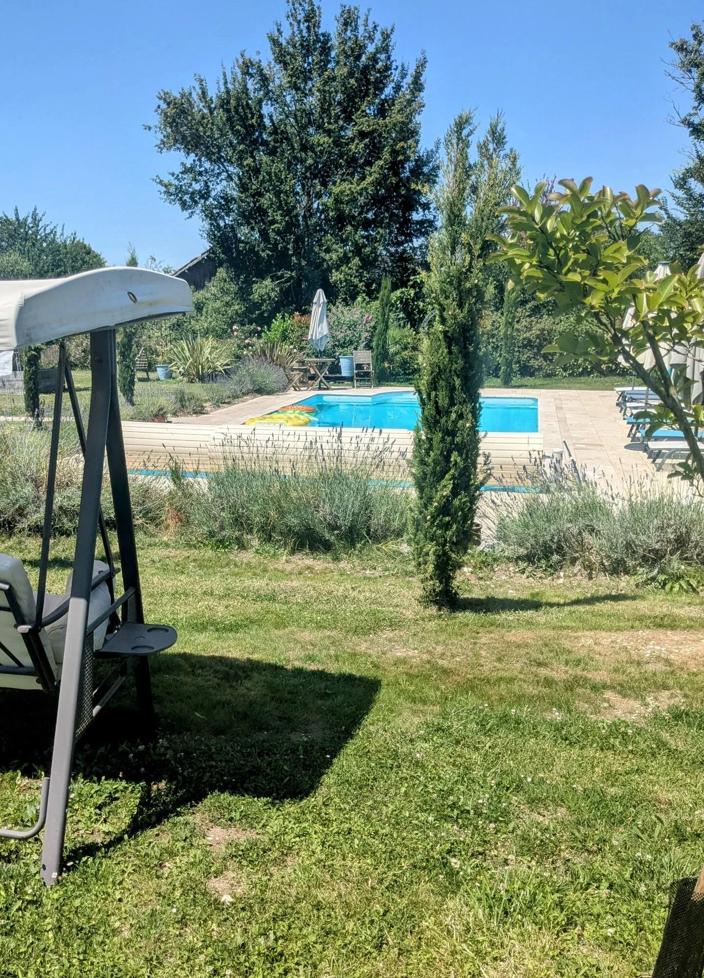 A backyard with a swimming pool, surrounded by trees, shrubs, and a patio area with loungers, umbrellas, and outdoor furniture, under a clear blue sky.