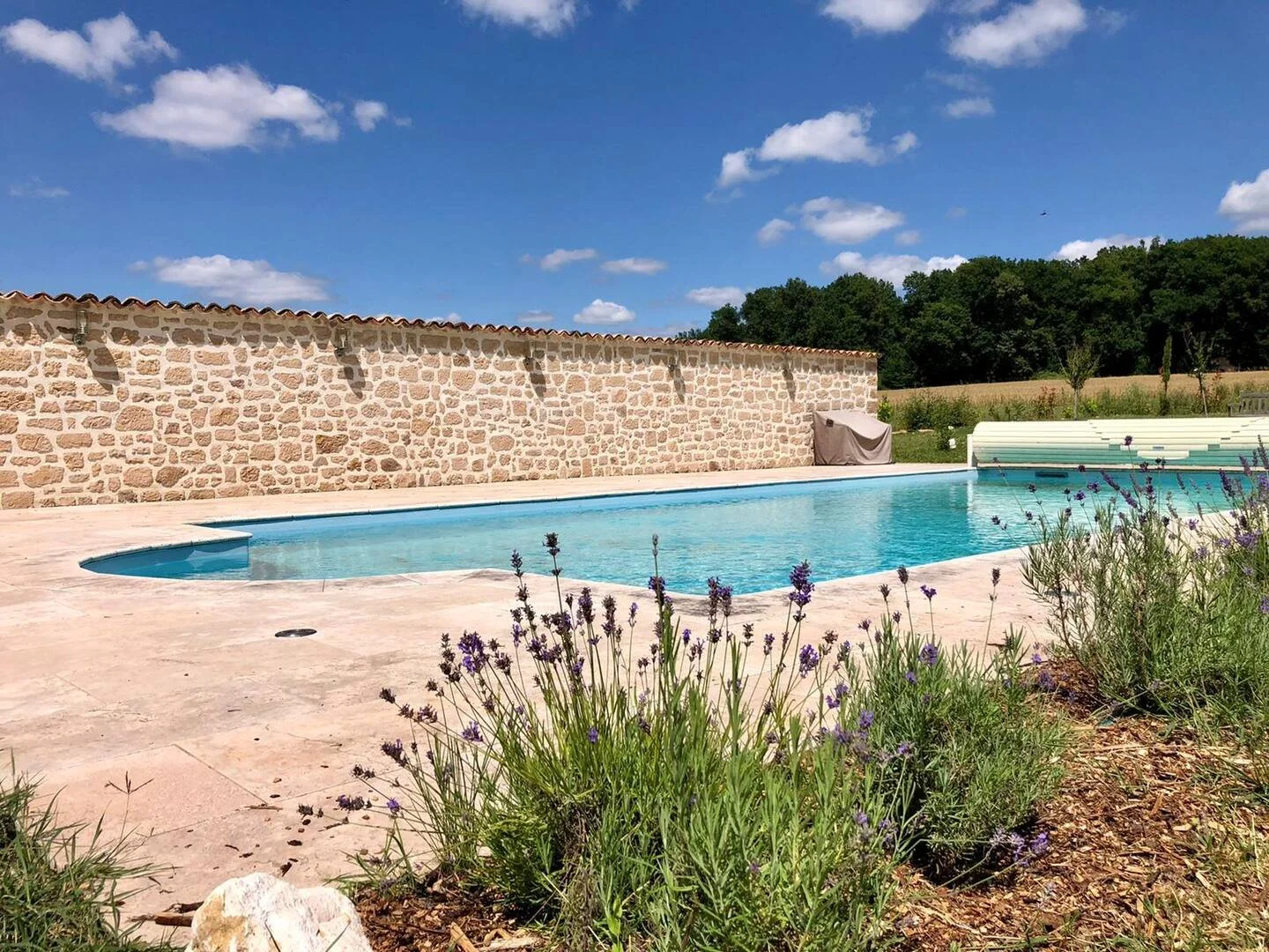 A swimming pool in a backyard under blue sky with clouds, surrounded by a stone wall and purple flowers in the foreground.