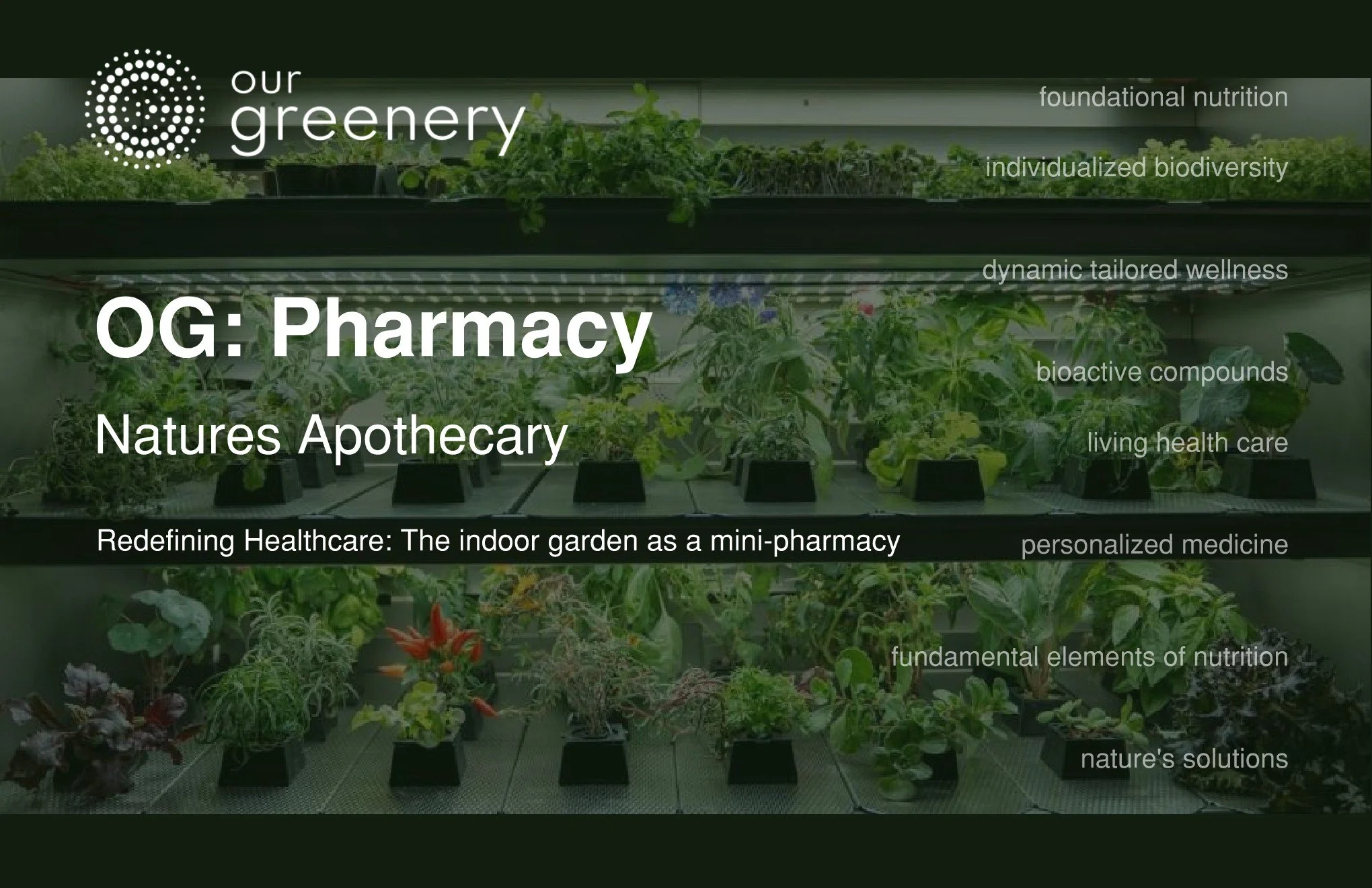 OG-Pharmacy Page 001.jpg