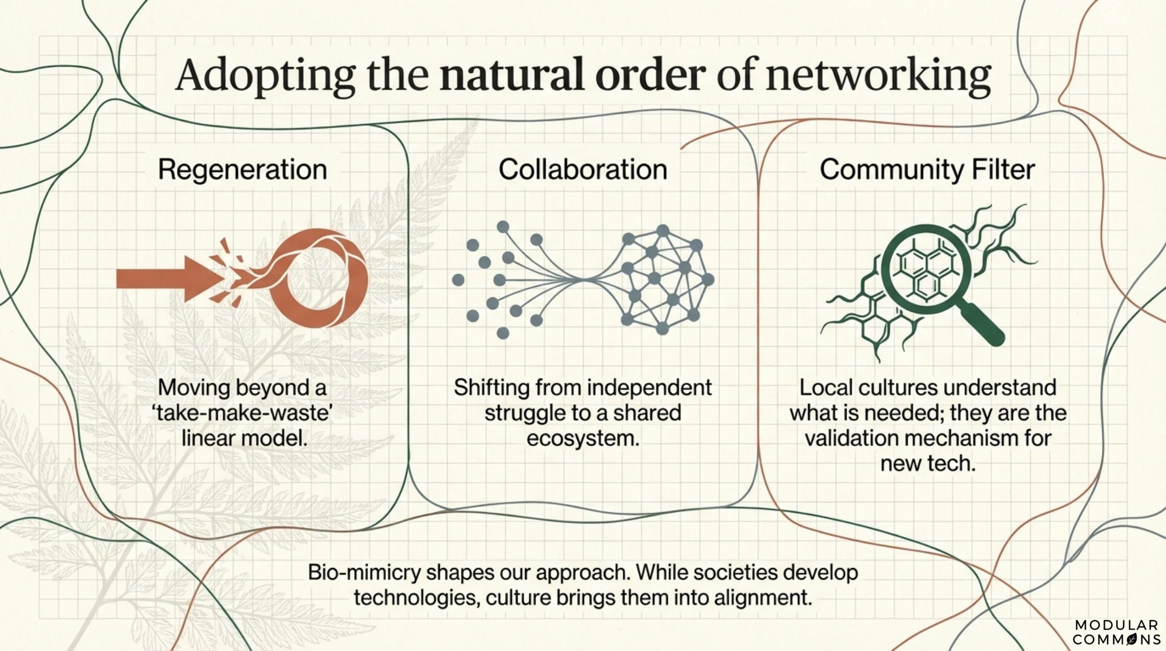 Regenerative_Connective_Tissue Page 003.jpg