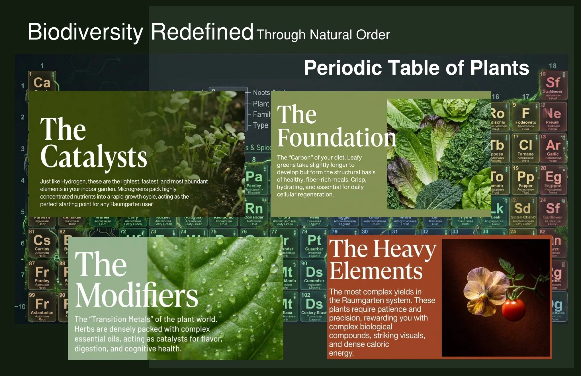 OG-Pharmacy Page 004.jpg