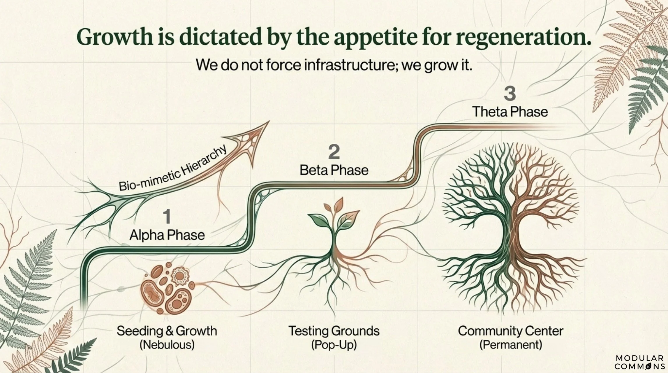 Regenerative_Connective_Tissue Page 007.jpg
